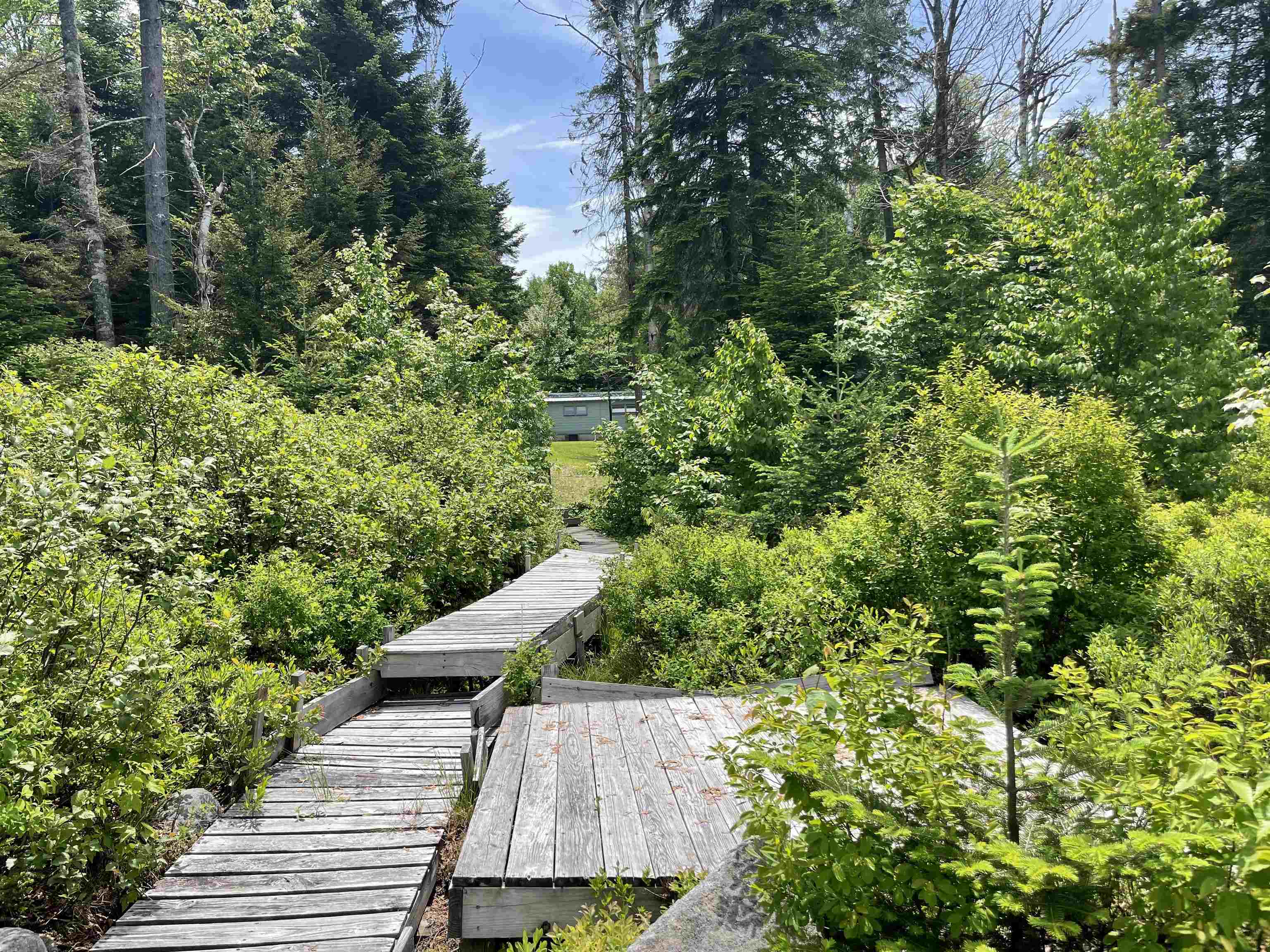 63 Bradley Road Averill, VT 05901 - Photo 5 of 34