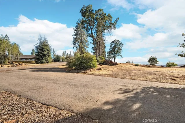 a view of a yard with wooden fence