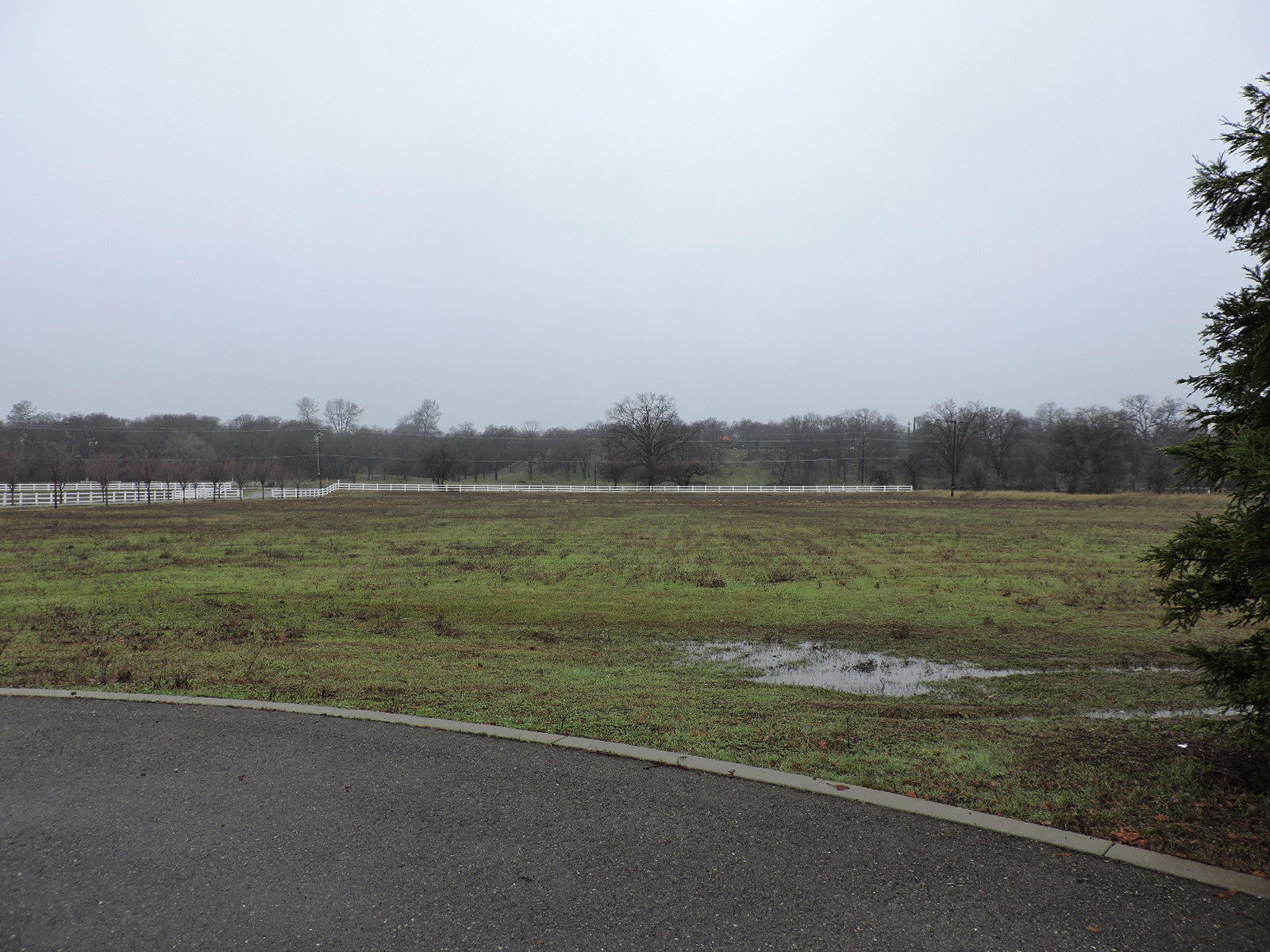 7539 Deschutes Road Palo Cedro, CA 96073 - Photo 21 of 24 DSCN1272