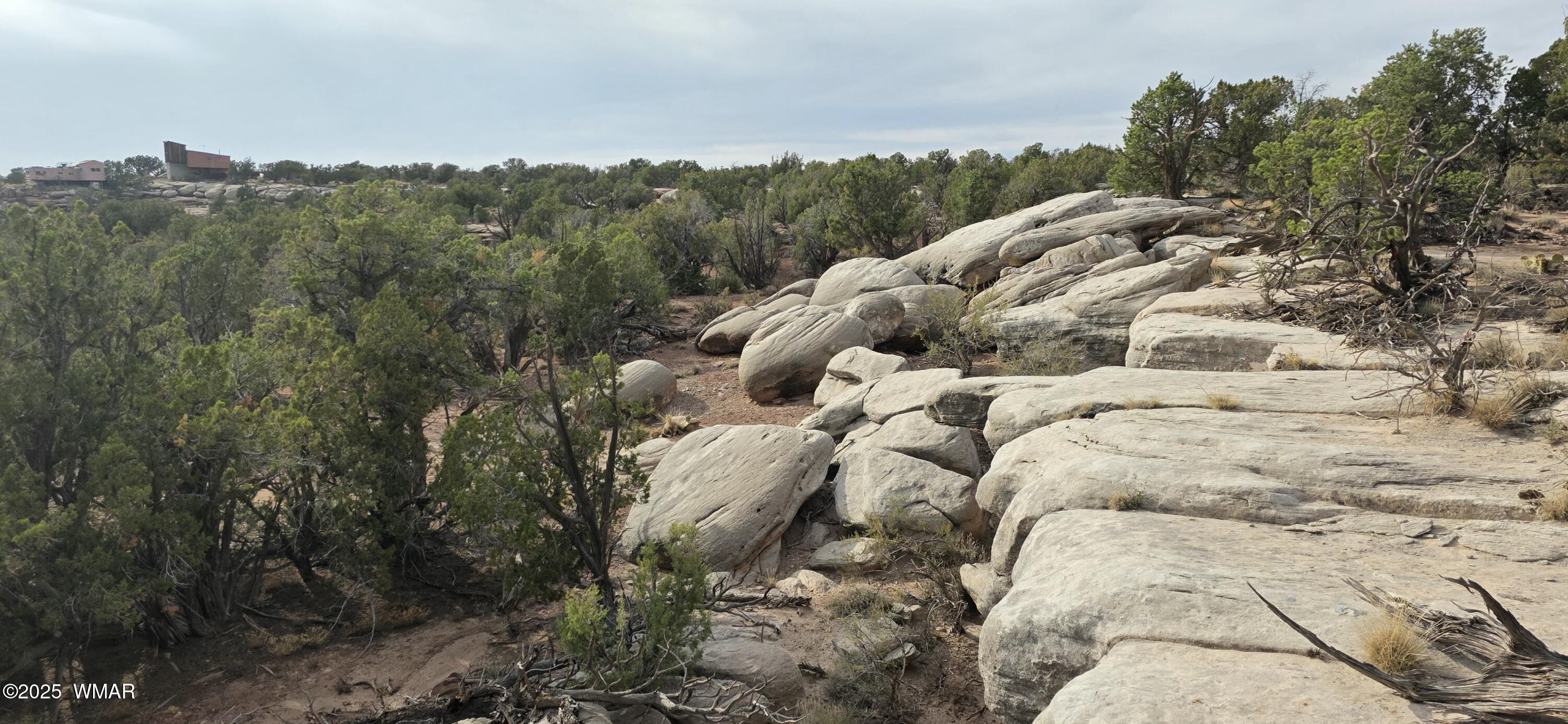 9081 Ridge View Lane Snowflake, AZ 85937 - Photo 25 of 33 20250609_172250