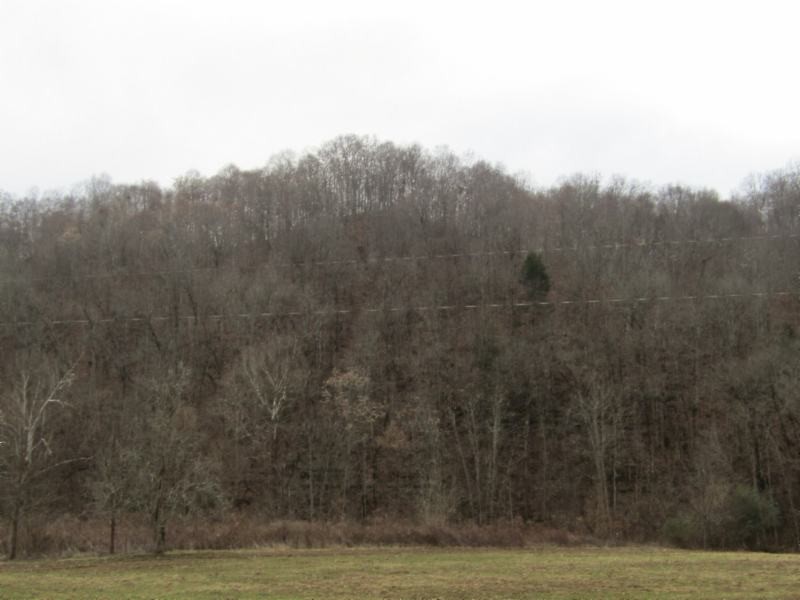 82 Knob Creek Road Celina, TN 38551 - Photo 1 of 21 Gallery Image 1