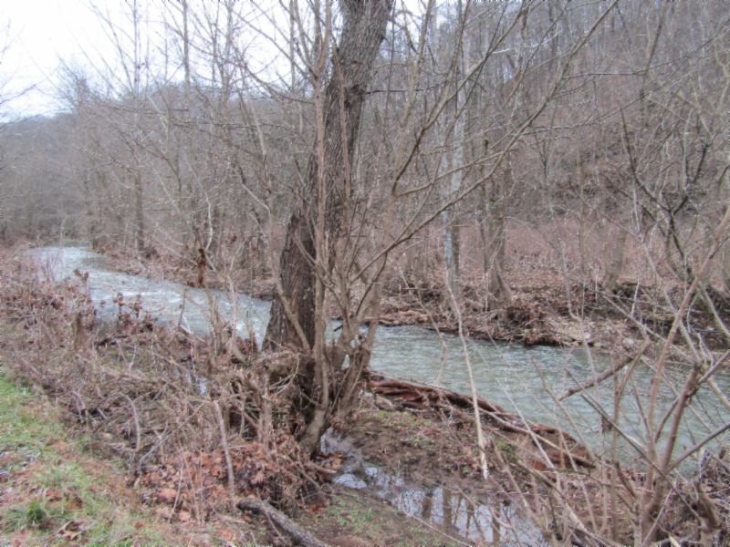 82 Knob Creek Road Celina, TN 38551 - Photo 11 of 21 Gallery Image 11