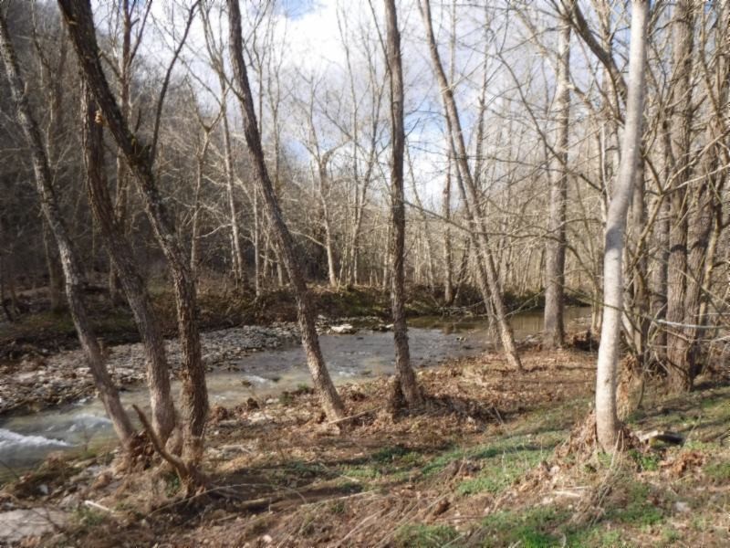 82 Knob Creek Road Celina, TN 38551 - Photo 15 of 21 Gallery Image 15