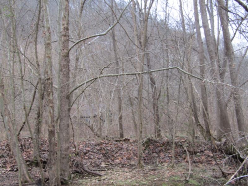 82 Knob Creek Road Celina, TN 38551 - Photo 4 of 21 Gallery Image 4