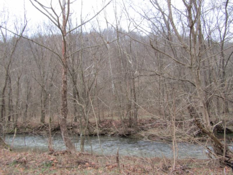 82 Knob Creek Road Celina, TN 38551 - Photo 7 of 21 Gallery Image 7