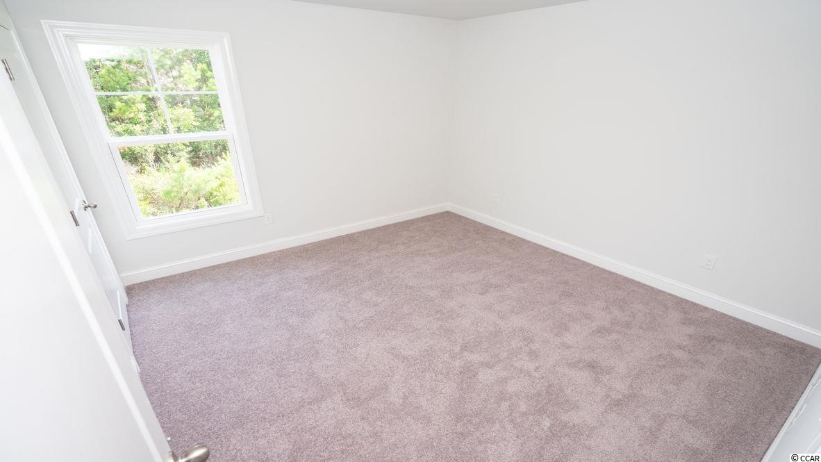 290 Juniata Loop Little River, SC 29566 - Photo 19 of 40 Gallery Image 19