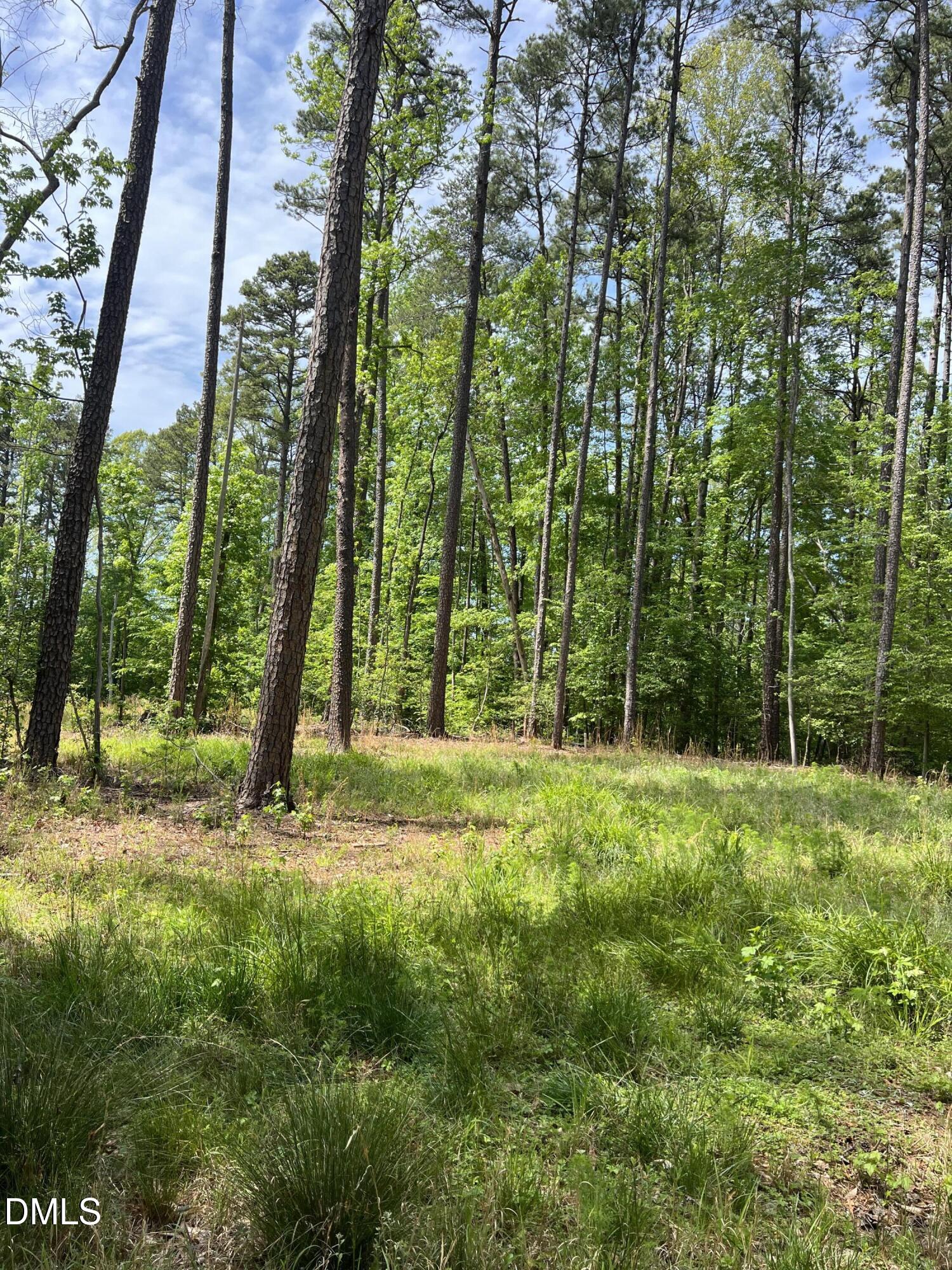 75 Max Finn Lane Roxboro, NC 27574 - Photo 12 of 17