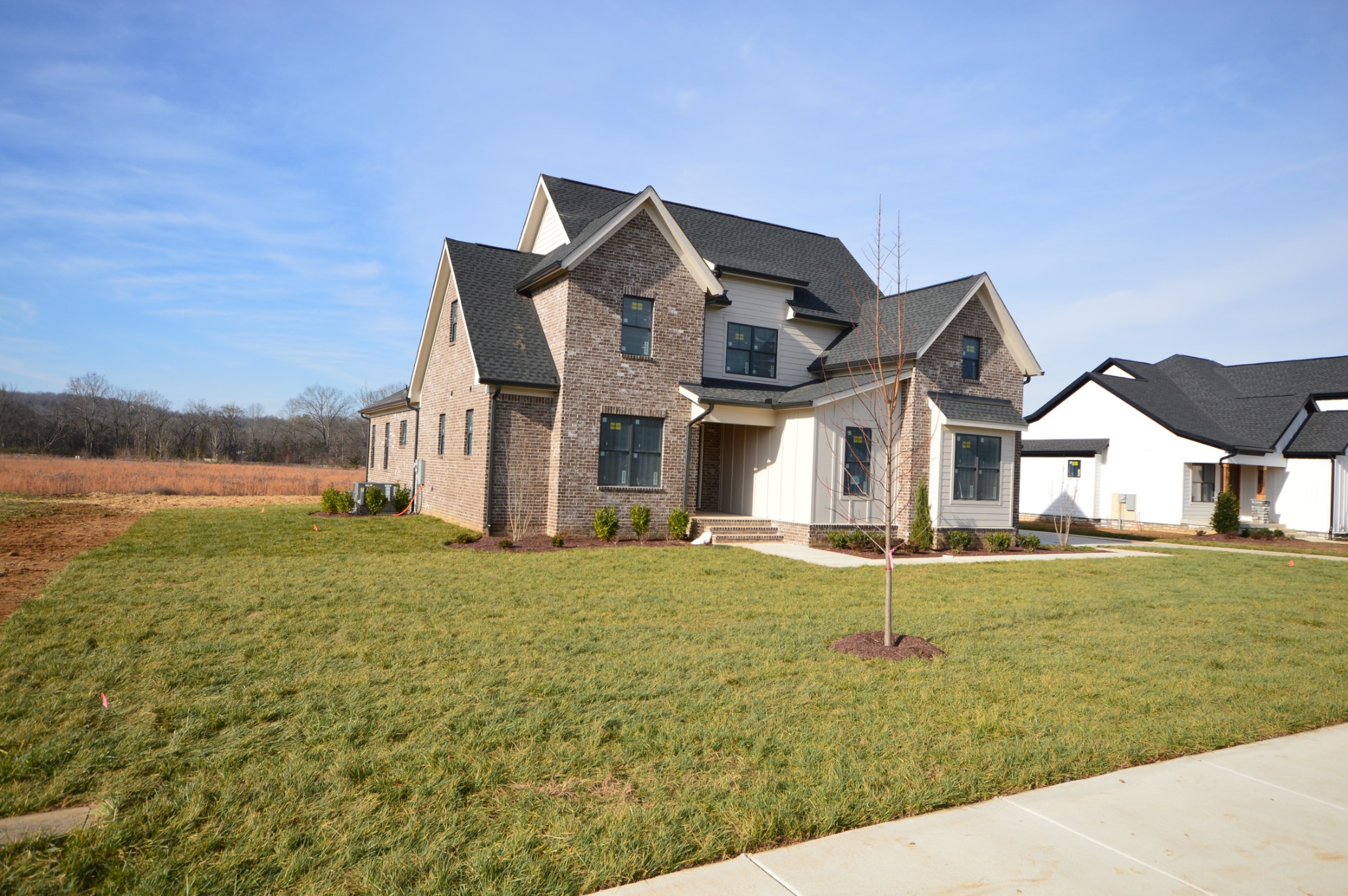 6223 Cedar Brooke Lane Spring Hill, TN 37174 - Photo 2 of 21