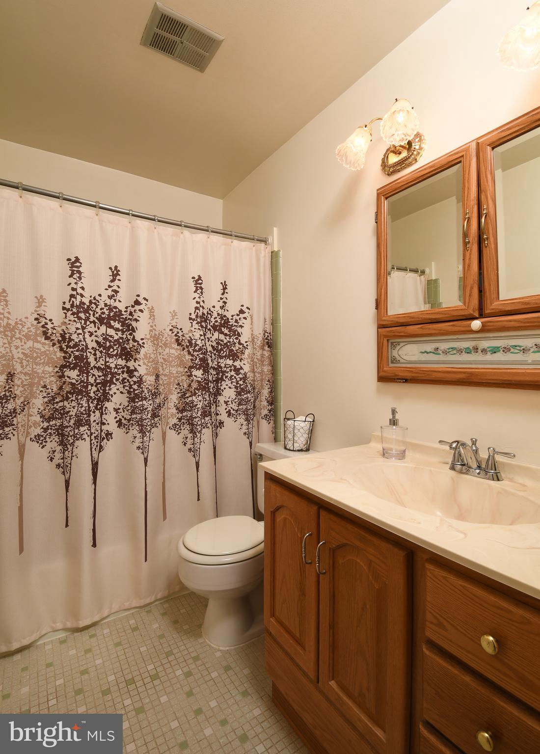 8523 Jenner Court Springfield, VA 22153 - Photo 29 of 41 Upper level hall bath