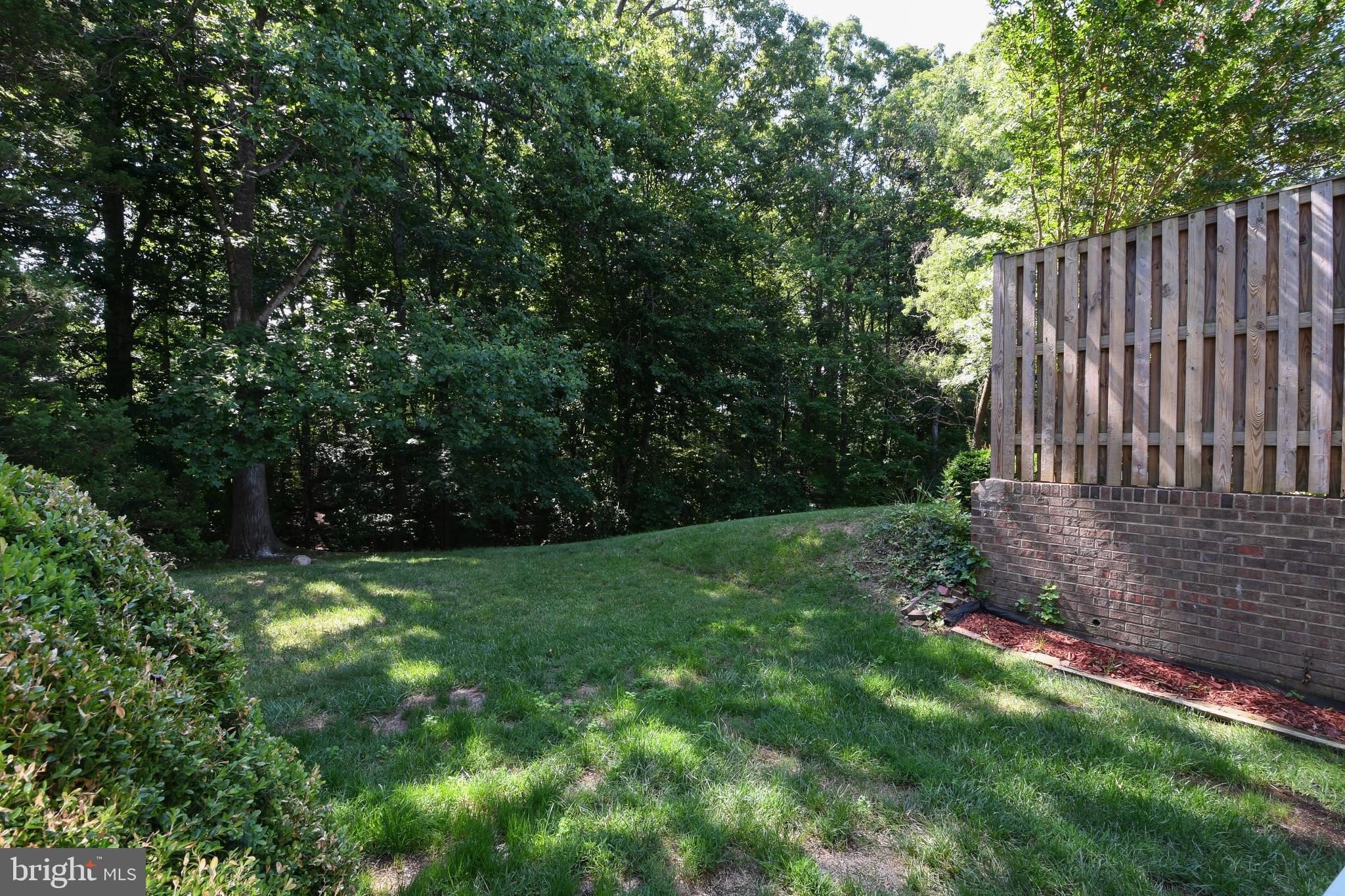 8523 Jenner Court Springfield, VA 22153 - Photo 37 of 41 Gorgeous green space