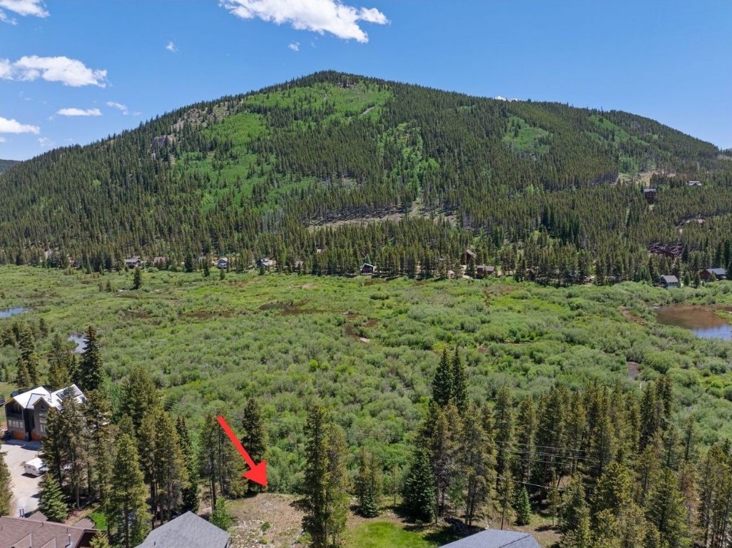 16 Rustic Terrace Breckenridge, CO 80424 - Photo 2 of 15 a view of a grassy area with an trees