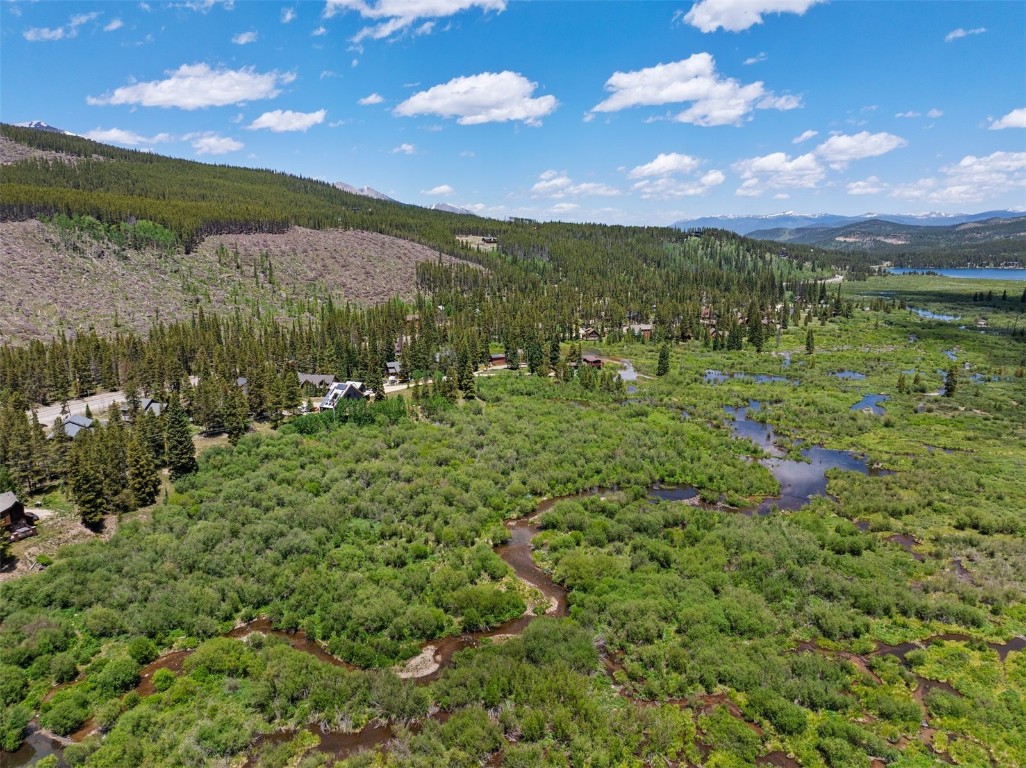 16 Rustic Terrace Breckenridge, CO 80424 - Photo 9 of 15 a view of a green field with lots of bushes