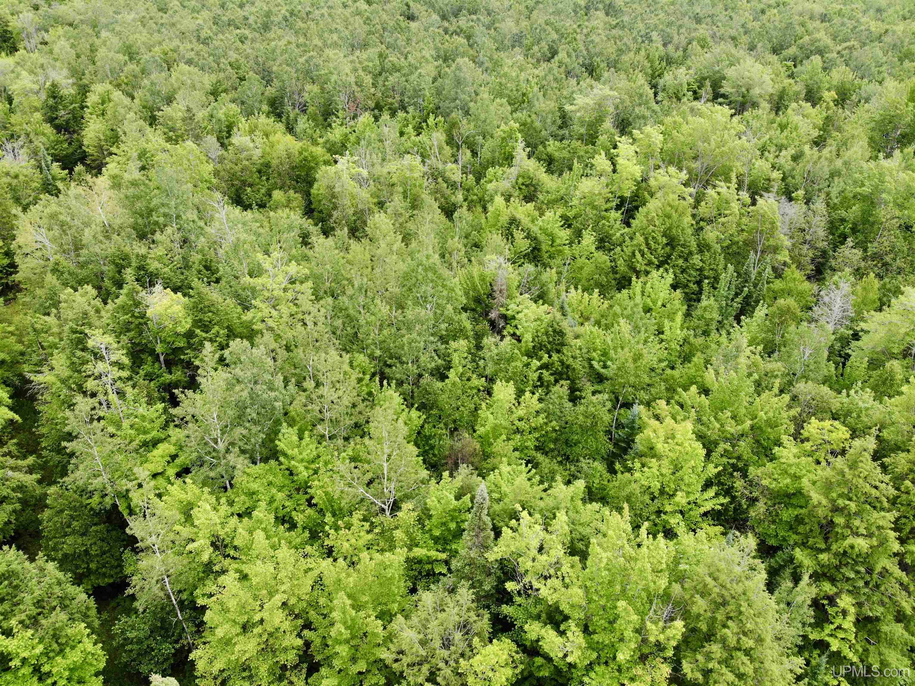 Tbd23 Kokko Road Baraga, MI 49908 - Photo 10 of 18 Gallery Image 10