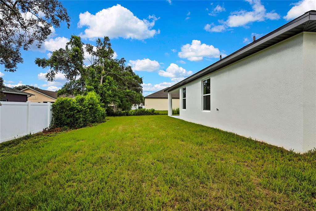 6589 Freeport Drive Spring Hill, FL 34608 - Photo 52 of 63 a view of a backyard with plants and a backyard