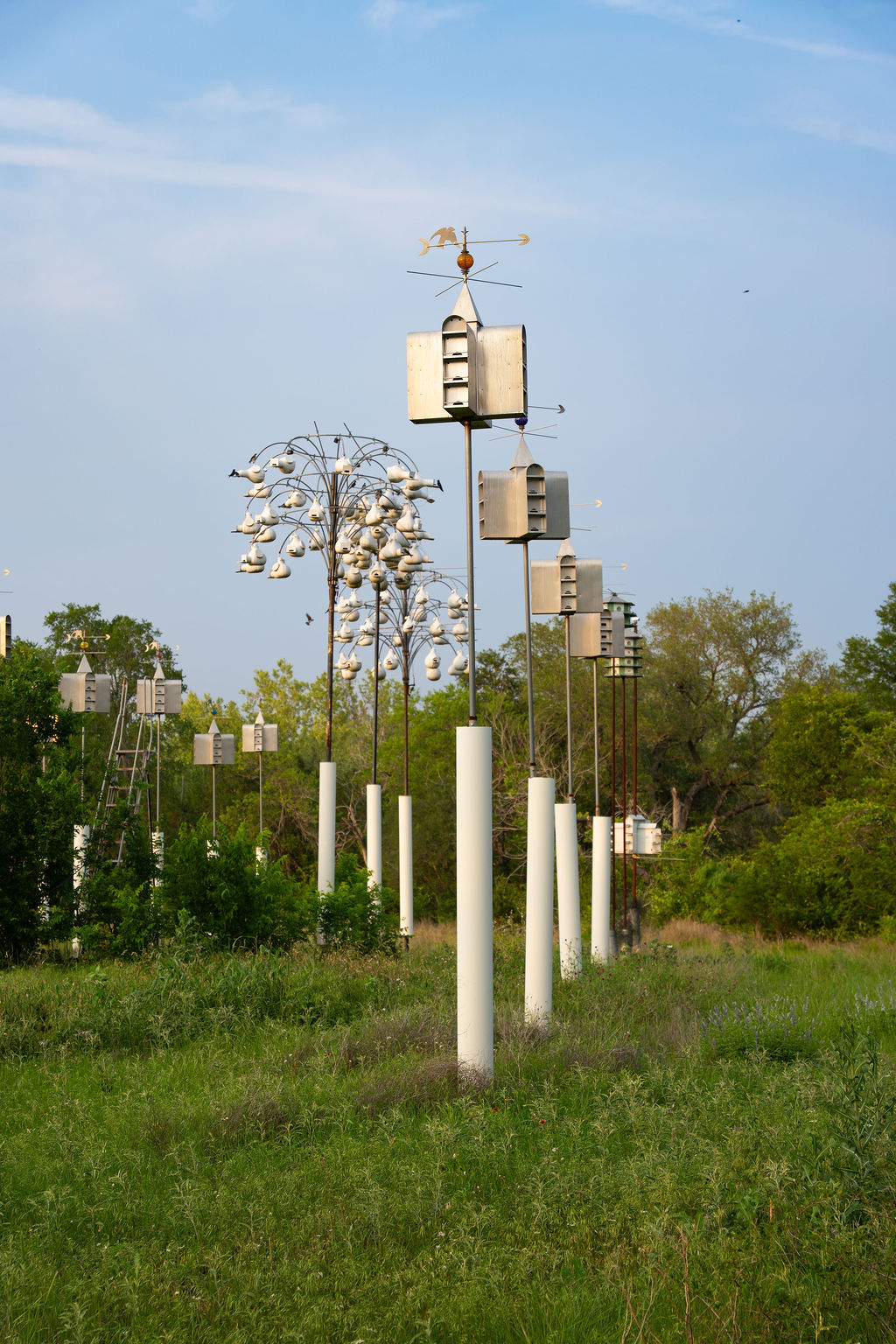 13800 Lone Rider Trail Austin, TX 78738 - Photo 24 of 32 An array of birdhouses stands tall in the native prairie land. an inviting avian habitat.