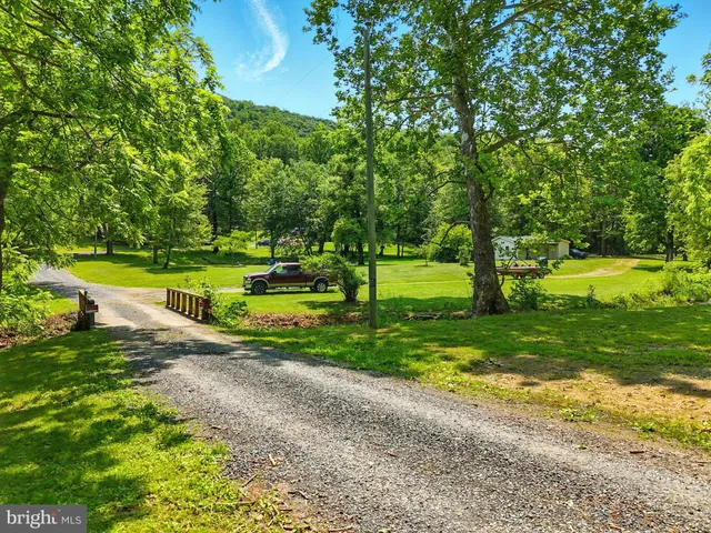 a view of a park with large trees