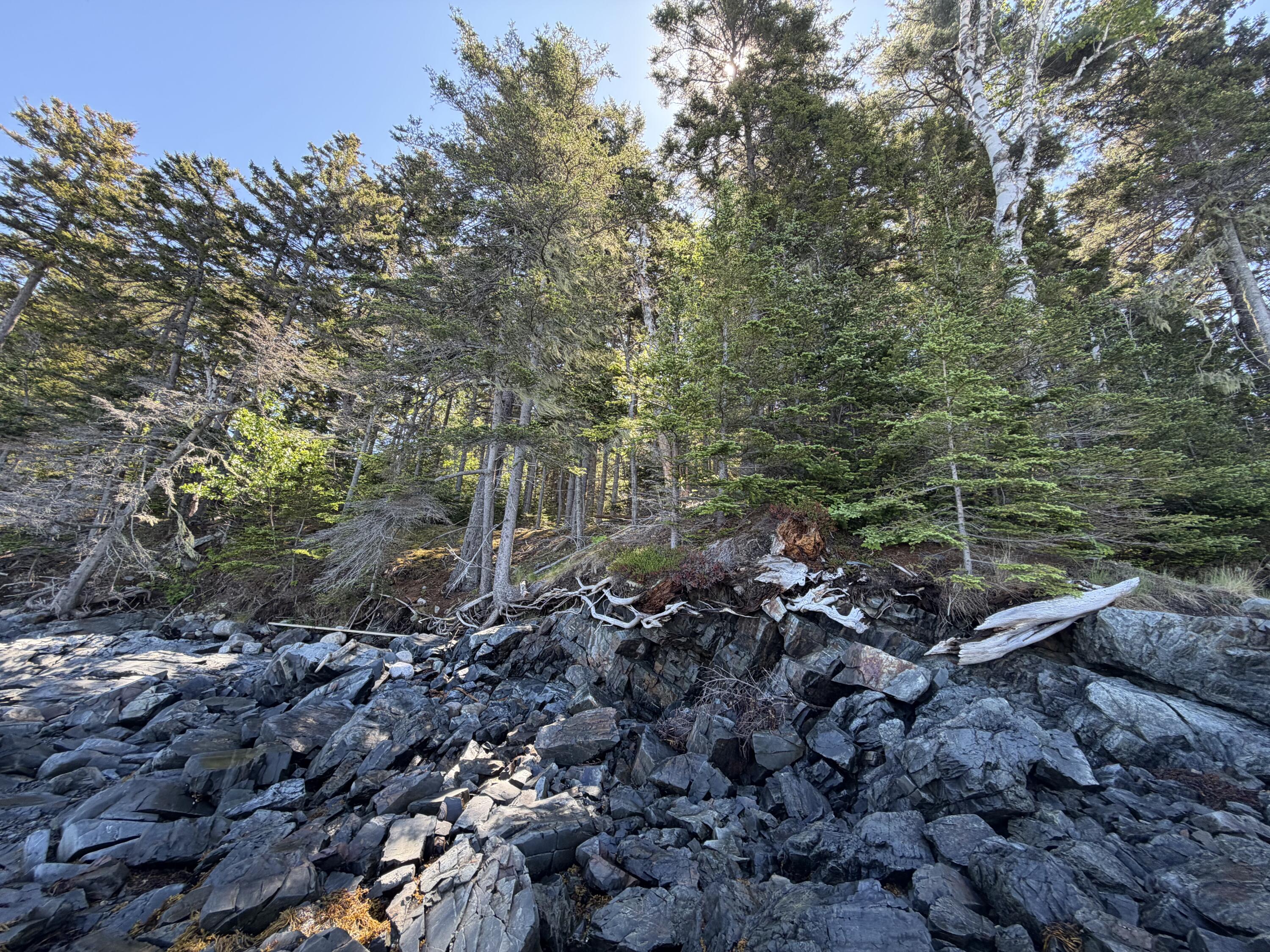 56 Kingsley Farm Road Gouldsboro, ME 04607 - Photo 8 of 12