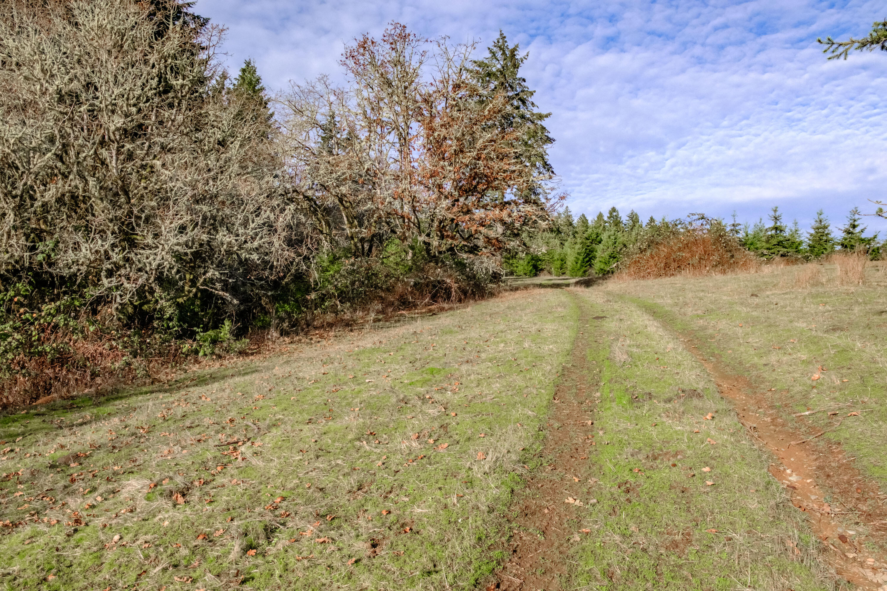 Airlie Road Monmouth, OR 97361 - Photo 27 of 34 Gallery Image 27