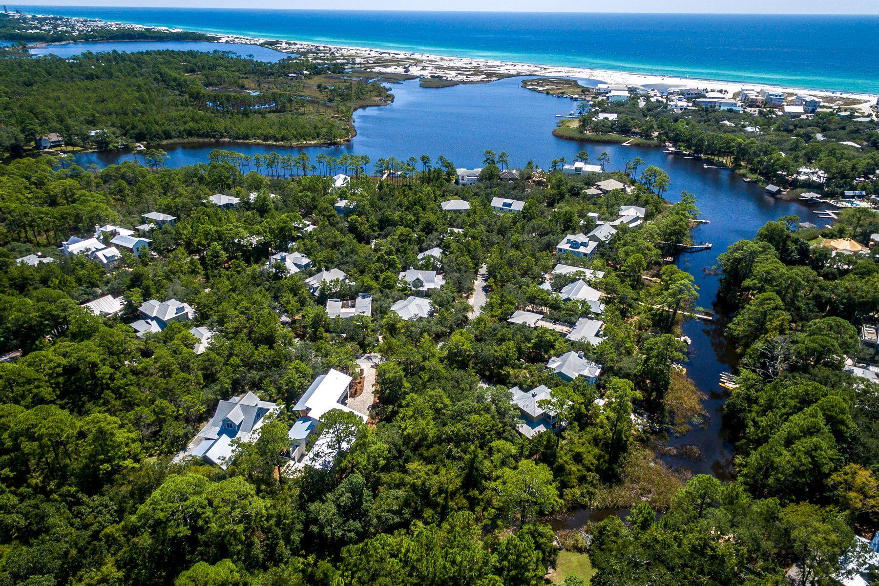 Lot 29 Wilderness Way Santa Rosa Beach, FL 32459 - Photo 11 of 20 Lush Vegetation Abounds in Lake Place