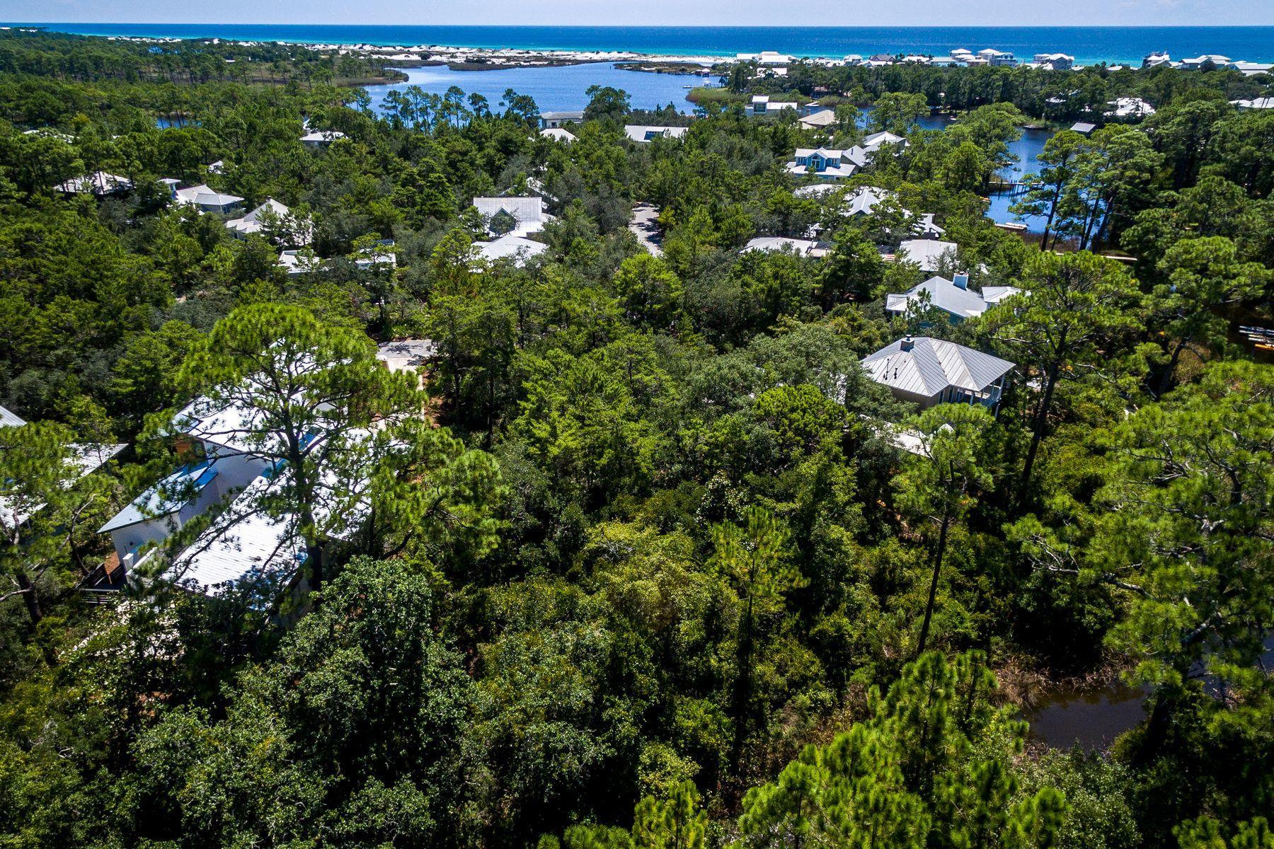 Lot 29 Wilderness Way Santa Rosa Beach, FL 32459 - Photo 16 of 20 Homesite Offers Plenty of Shade