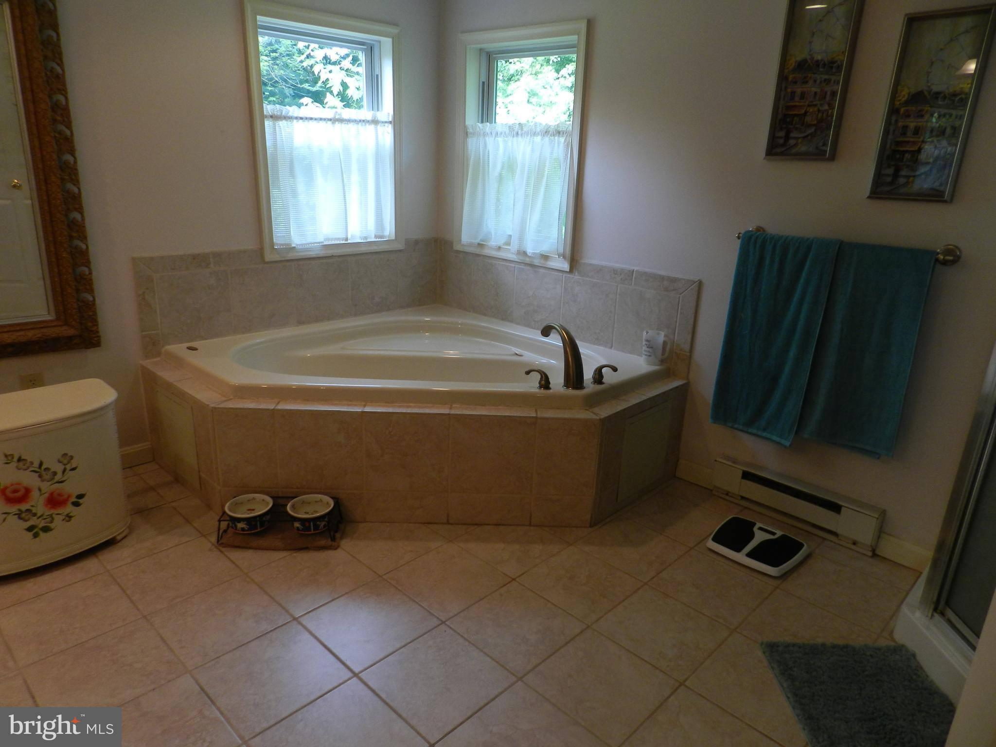 11836 Walnut Point Road Hagerstown, MD 21740 - Photo 20 of 29 Bath (Master)