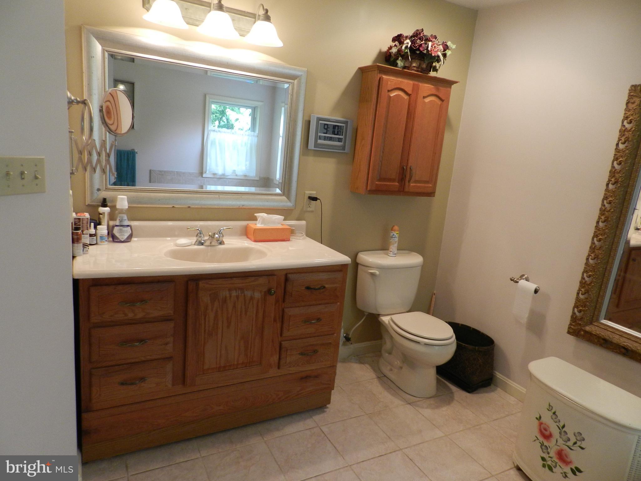 11836 Walnut Point Road Hagerstown, MD 21740 - Photo 21 of 29 Bath (Master)