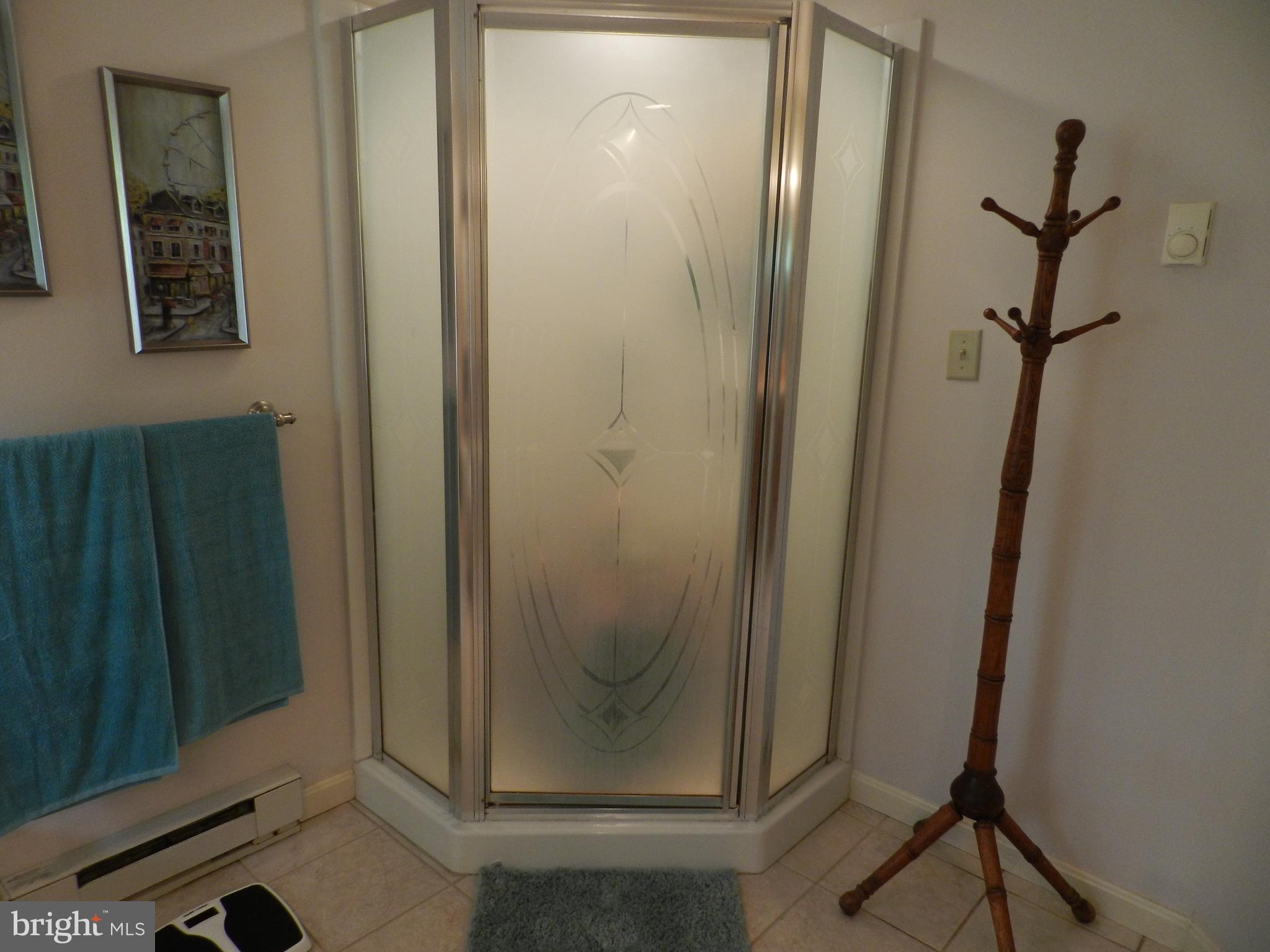 11836 Walnut Point Road Hagerstown, MD 21740 - Photo 22 of 29 Bath (Master)