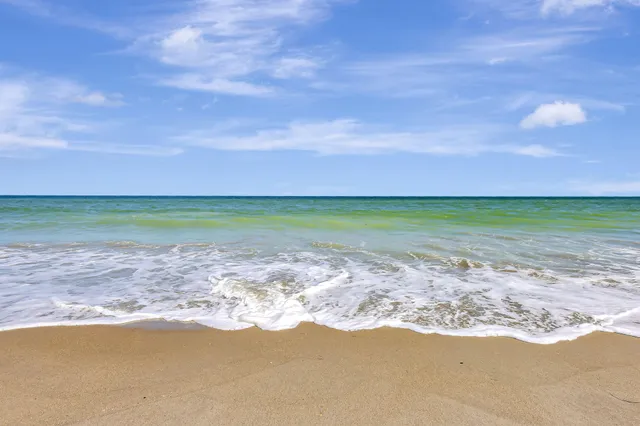 a view of building with garden