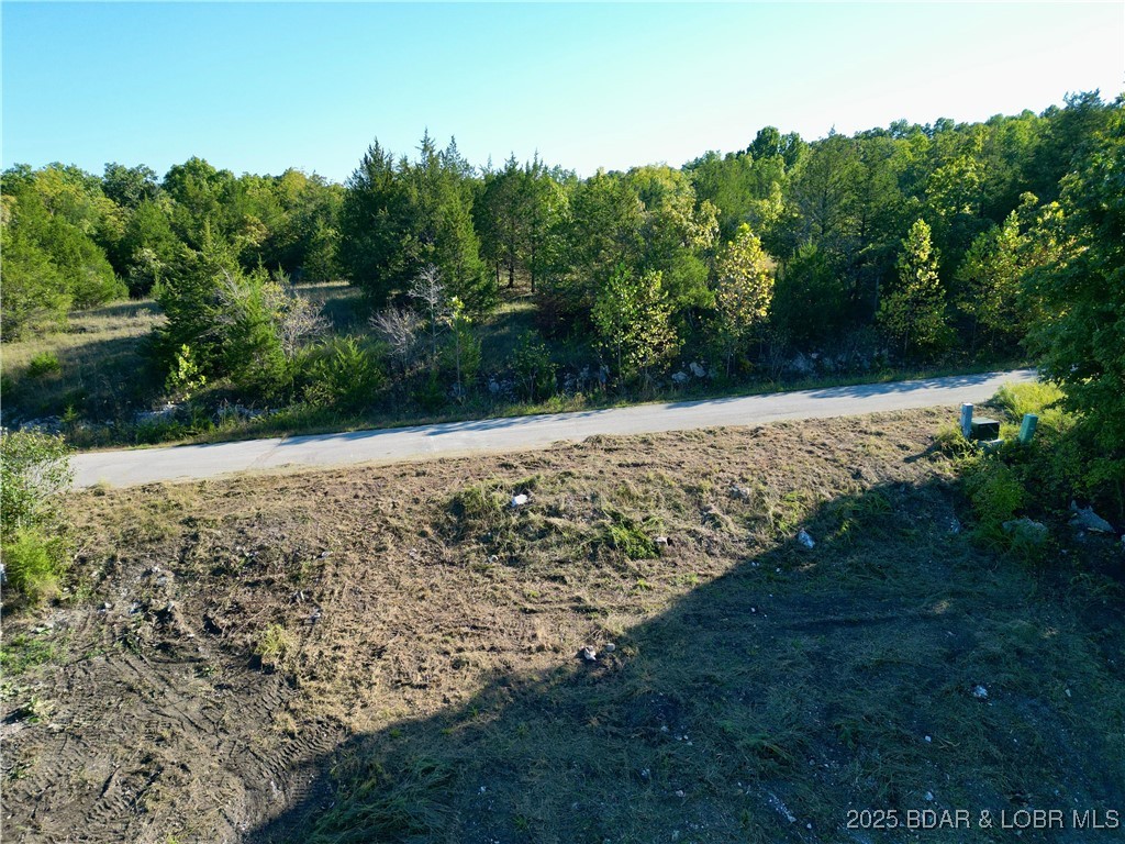 22 Jumping Bass Cove Road Roach, MO 65787 - Photo 12 of 15