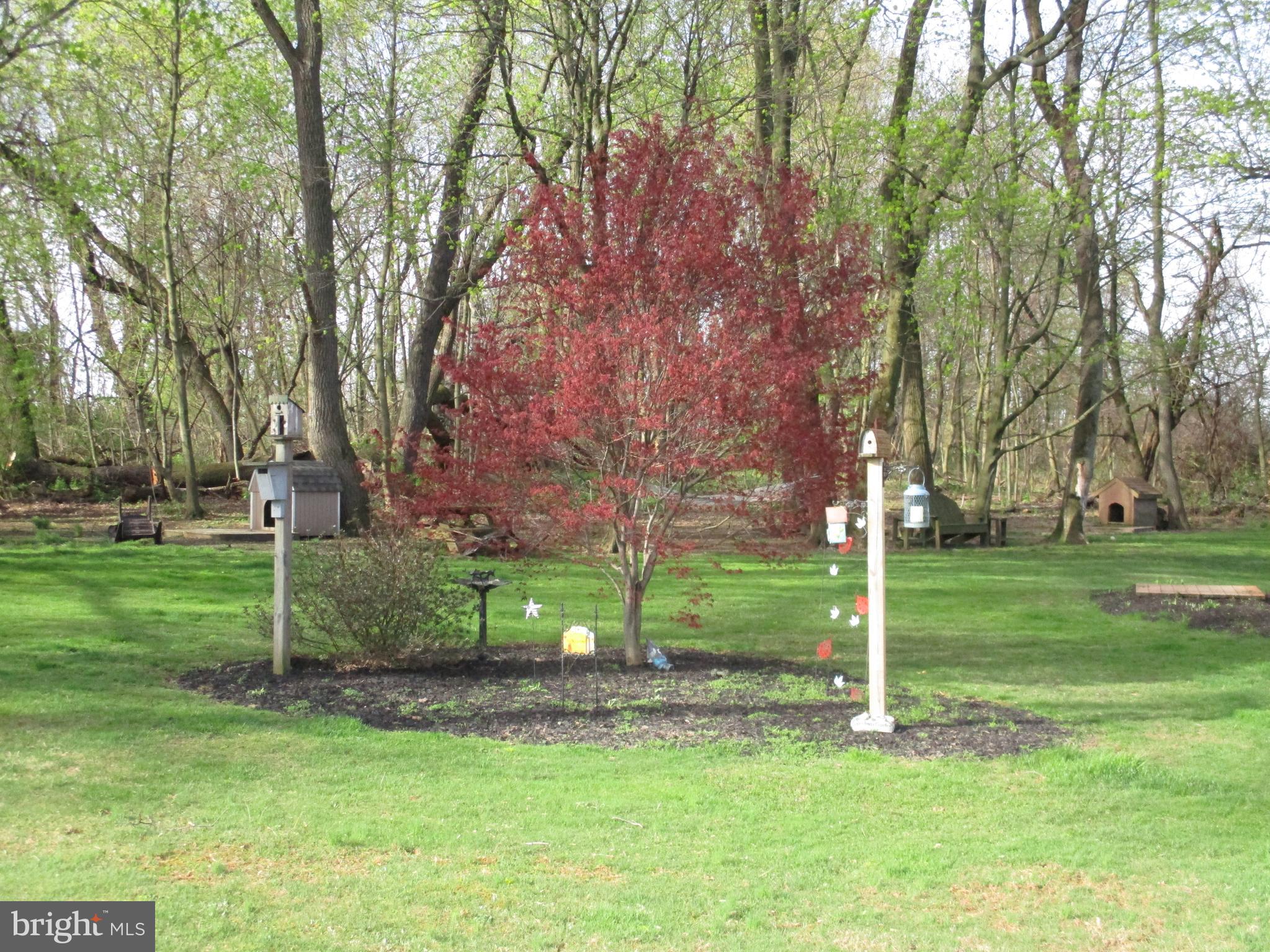 530 University Road Lincoln University, PA 19352 - Photo 2 of 19 Side Yard