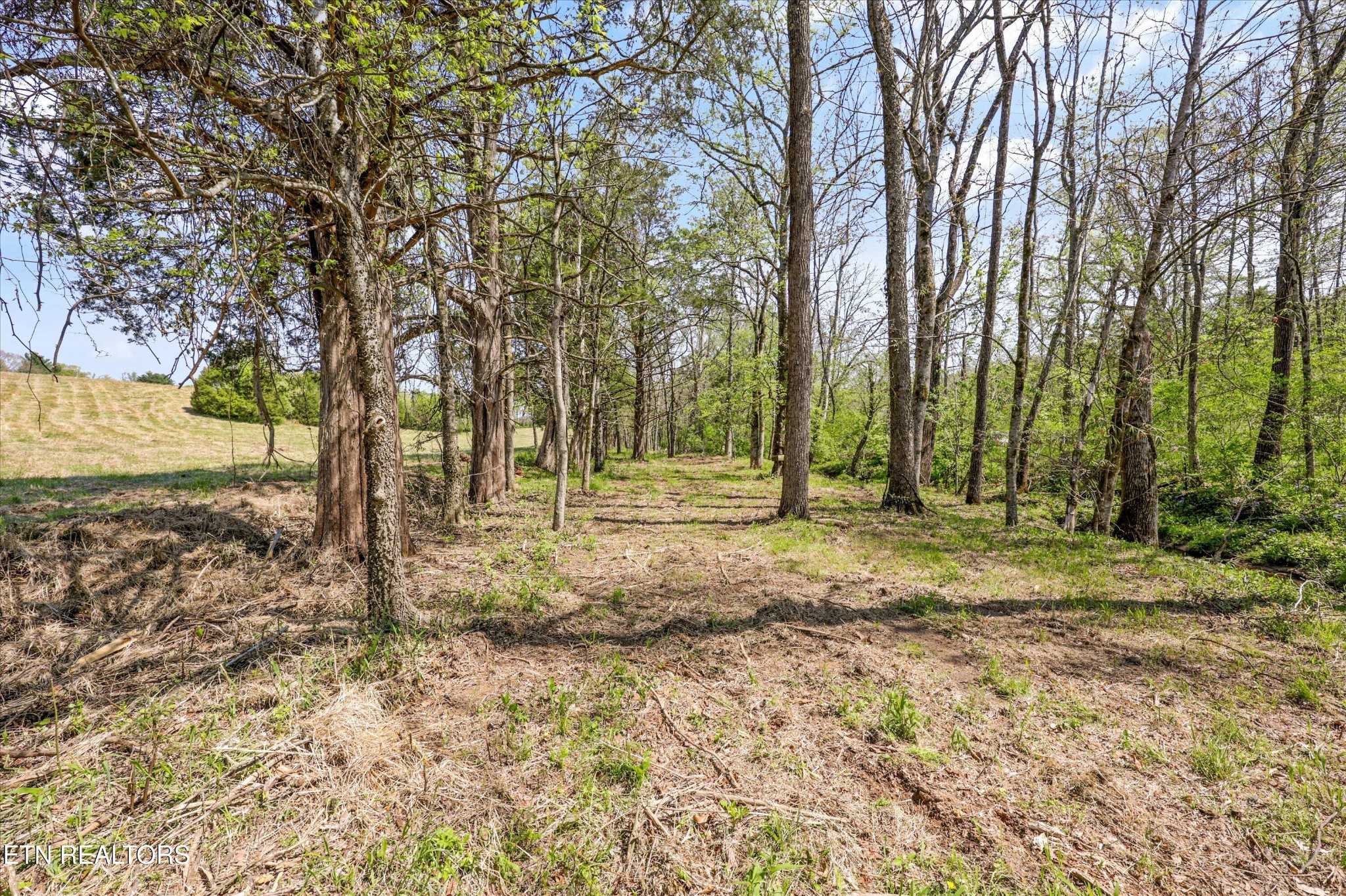 0 Indian Ridge Road Blaine, TN 37709 - Photo 6 of 17 Gallery Image 6