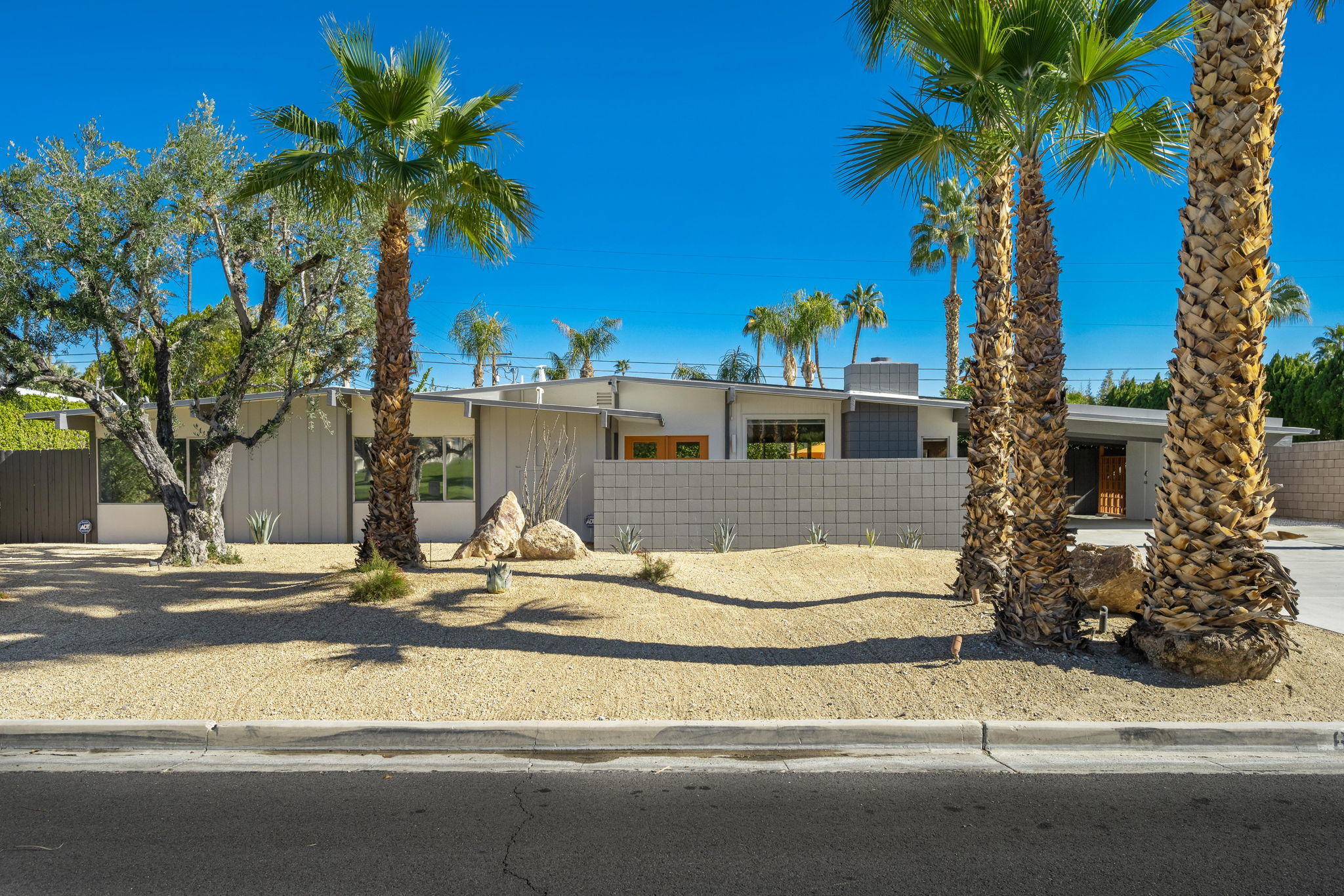 a view of street with palm trees