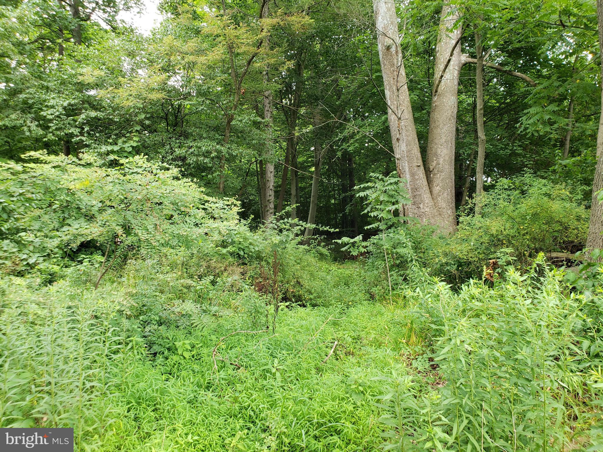 2613 Back Hollow Road Blain, PA 17006 - Photo 11 of 28 Gallery Image 11