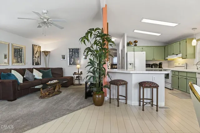 a living room with furniture and a potted plant
