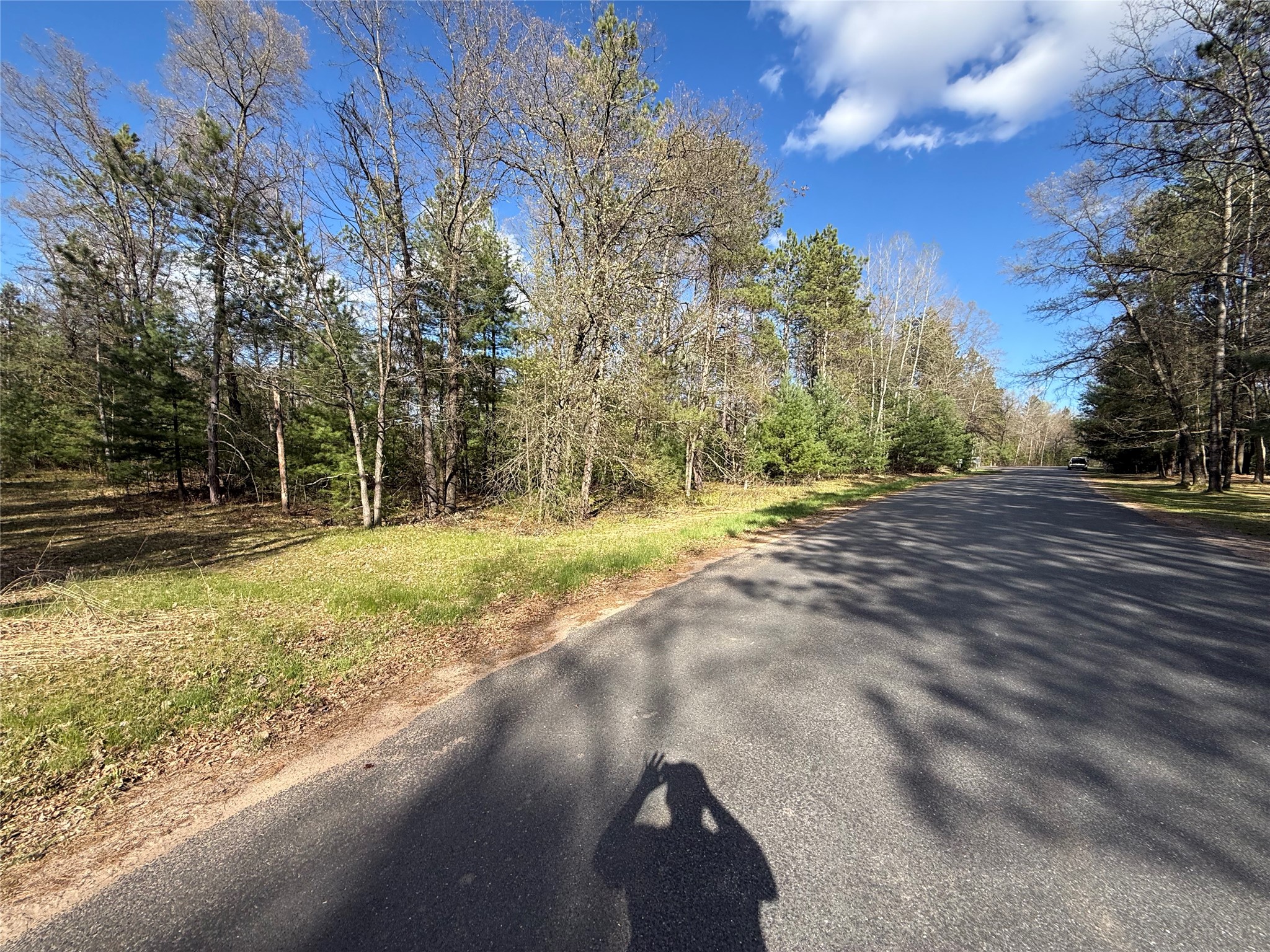8667 Lakeside Road Willard, WI 54493 - Photo 4 of 8