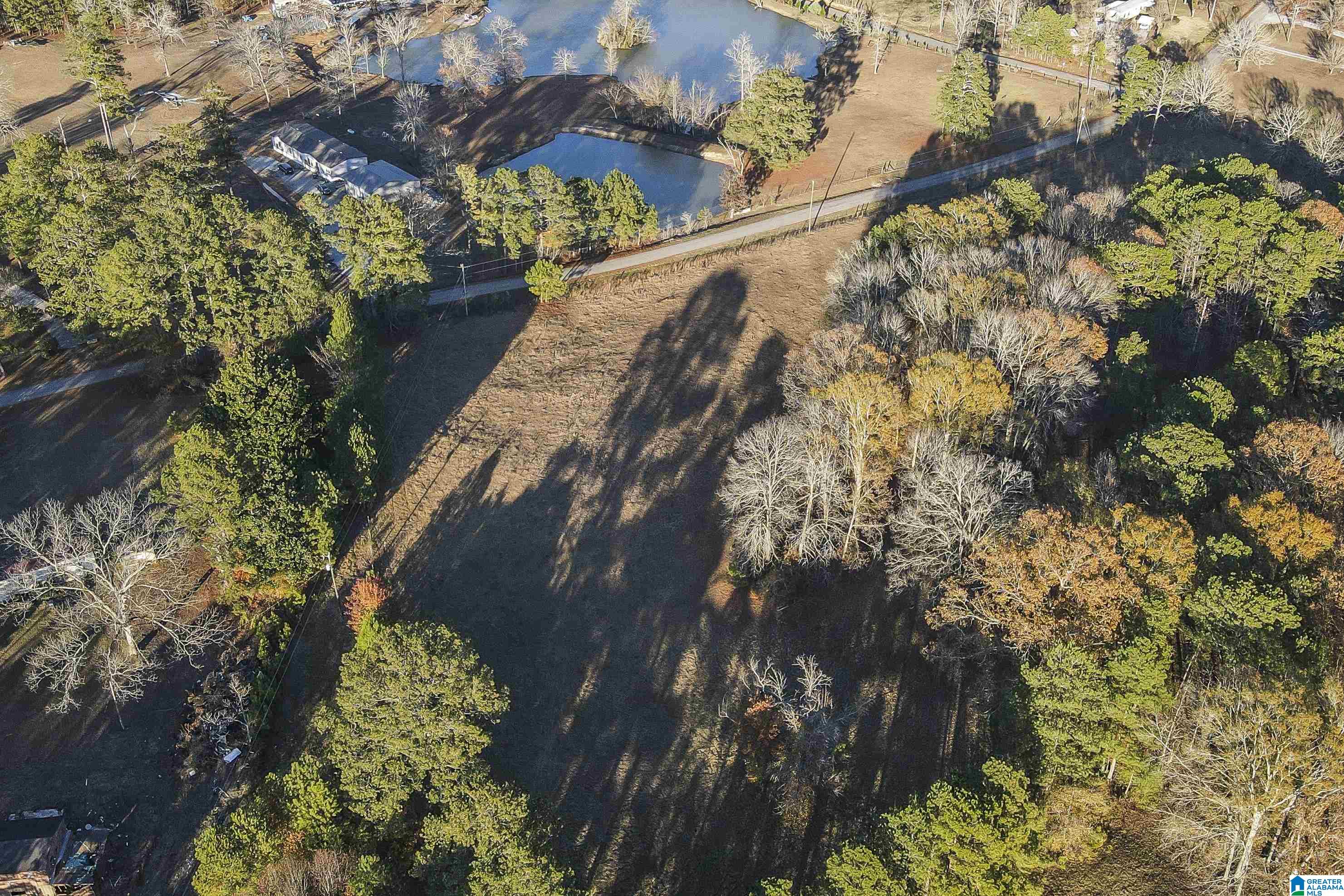 0 Kirkseys Bend, Unit 4 01 AC Ohatchee, AL 36271 - Photo 2 of 7