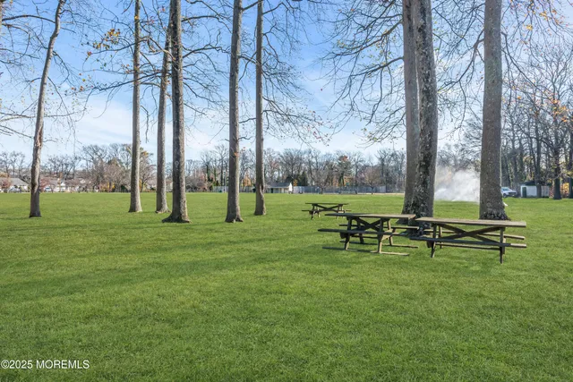 a view of a park with large trees