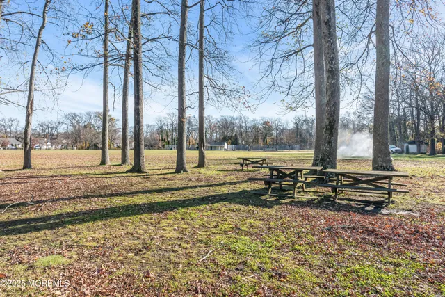 a view of a park with large trees