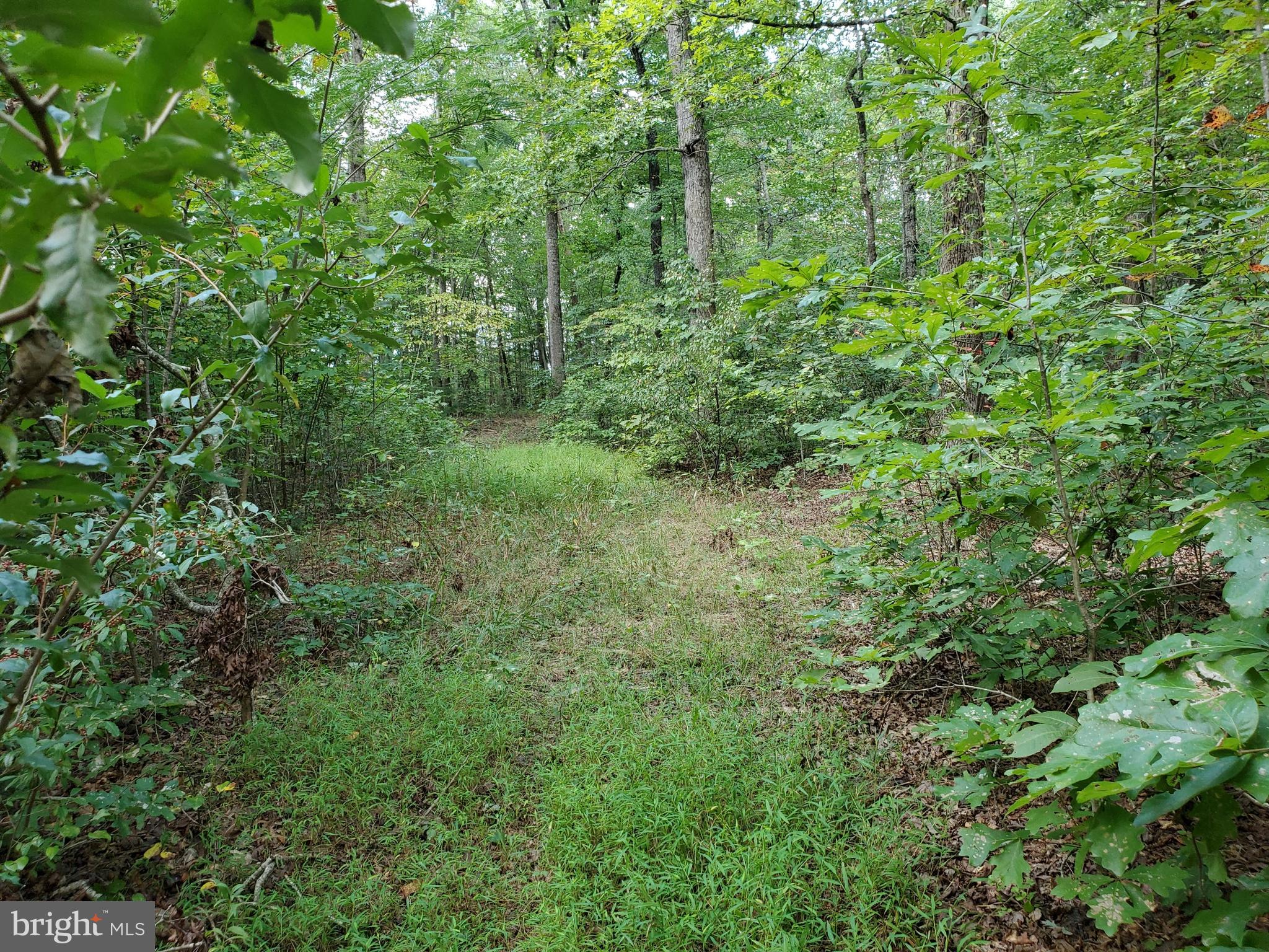 Lot 9 Old Stillhouse Road Rixeyville, VA 22737 - Photo 14 of 22