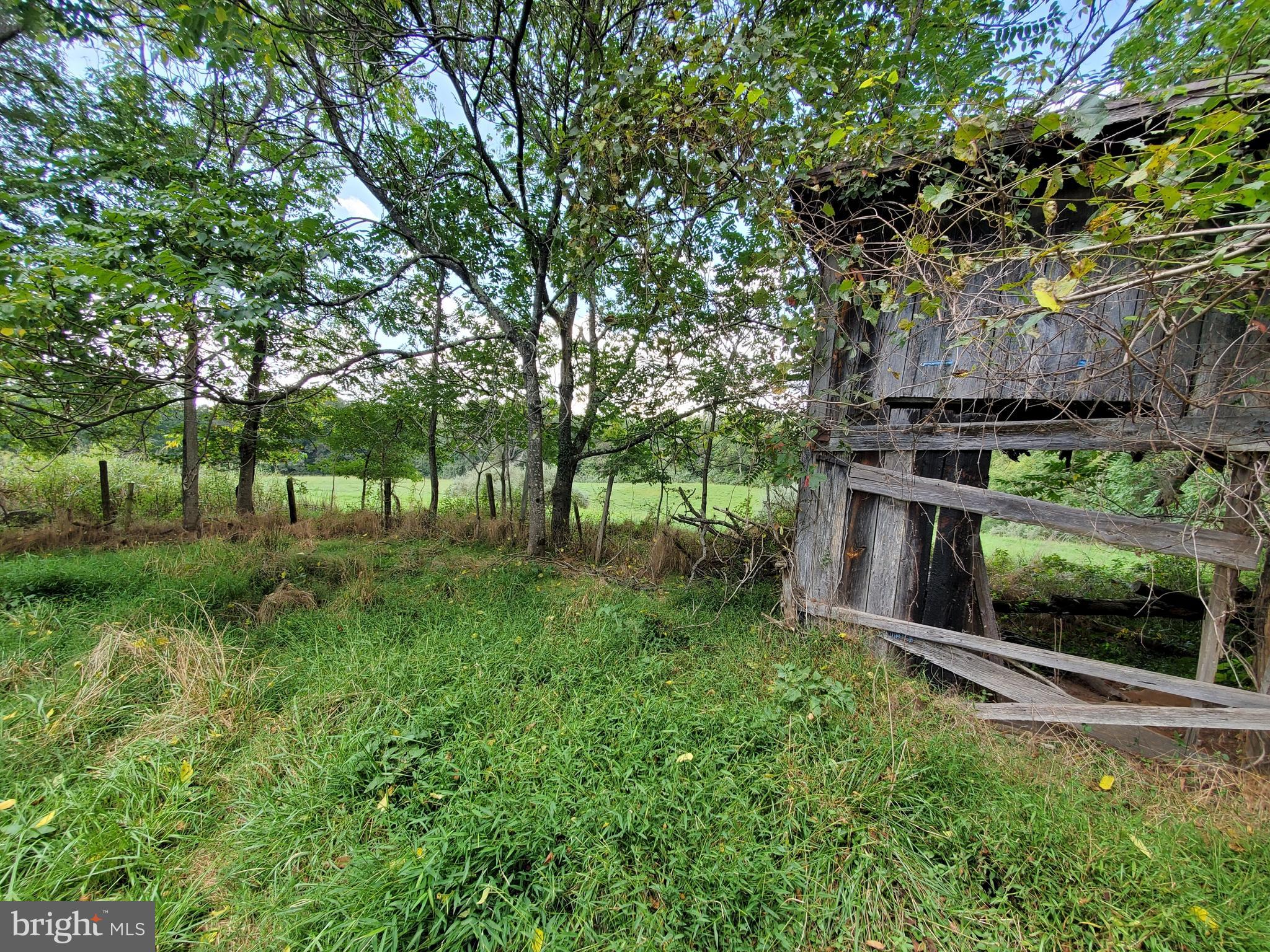 Lot 9 Old Stillhouse Road Rixeyville, VA 22737 - Photo 8 of 22
