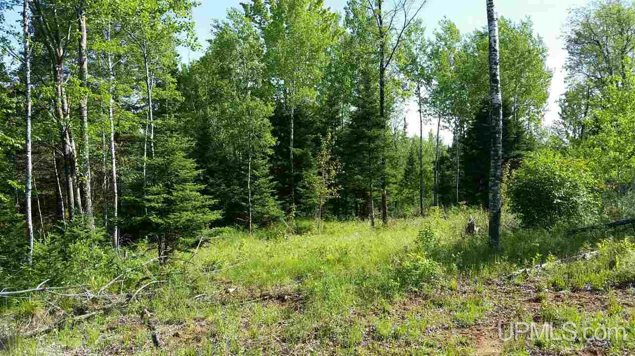 Tbd Off Kime-backlund Road Foster City, MI 49807 - Photo 12 of 12