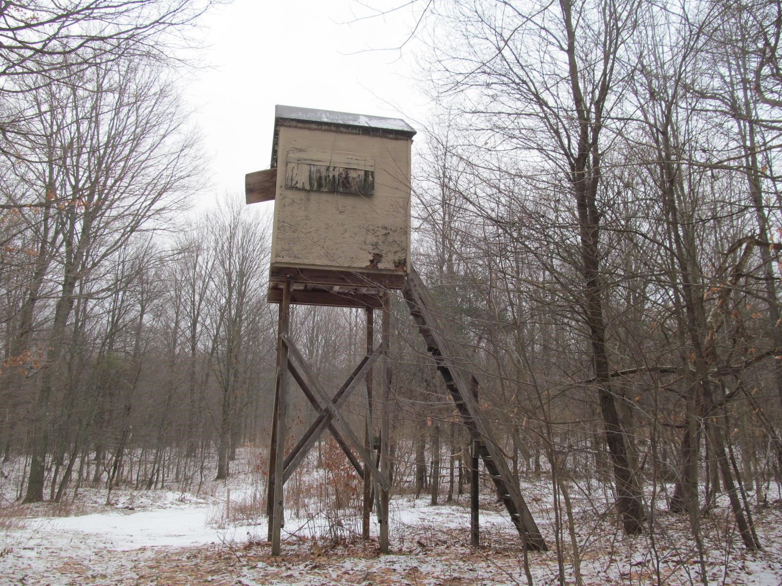 10-acres North 23 Road Mesick, MI 49668 - Photo 16 of 18
