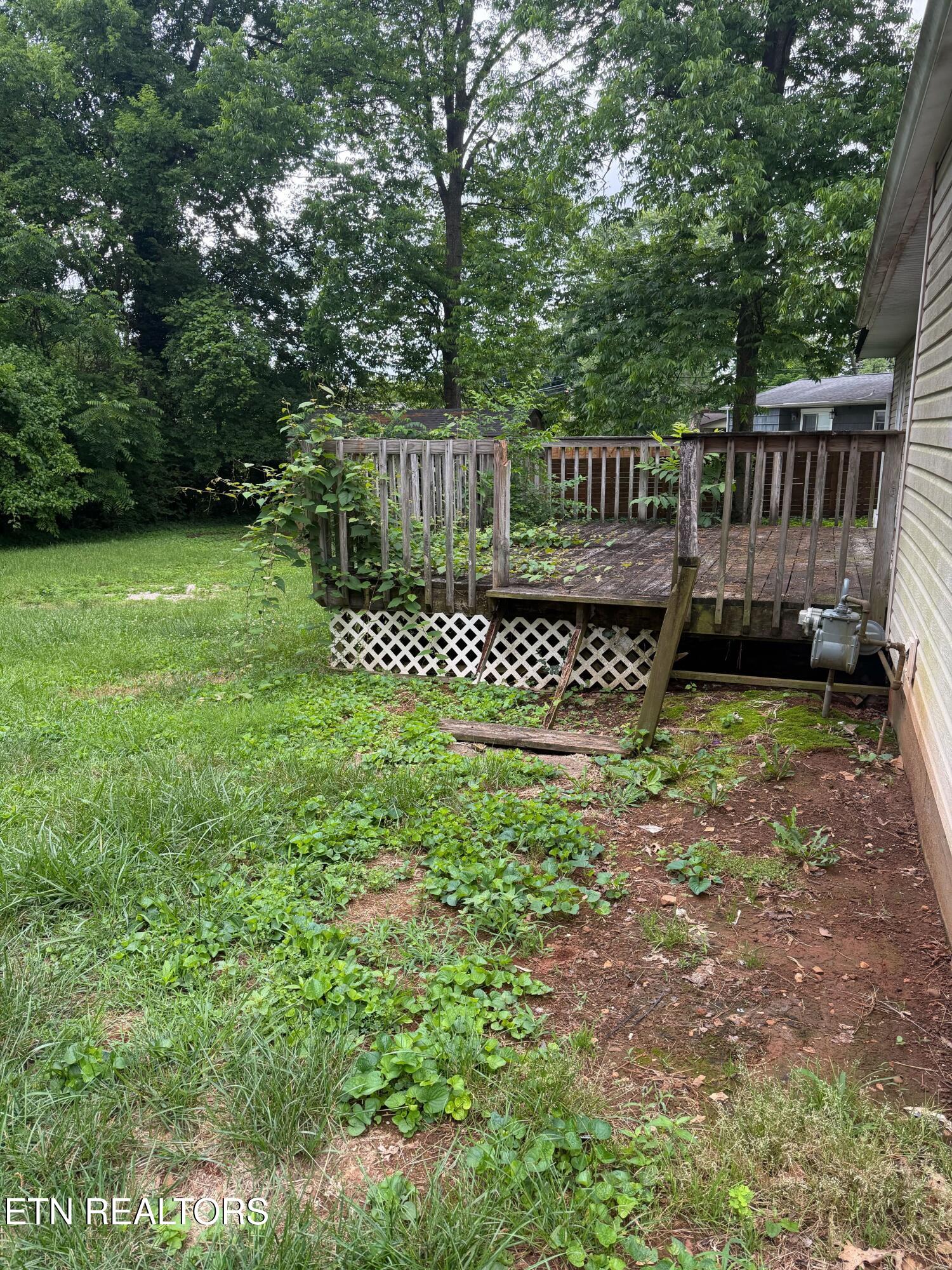 3215 Lineback Road Northwest Knoxville, TN 37921 - Photo 11 of 13 IMG_1384
