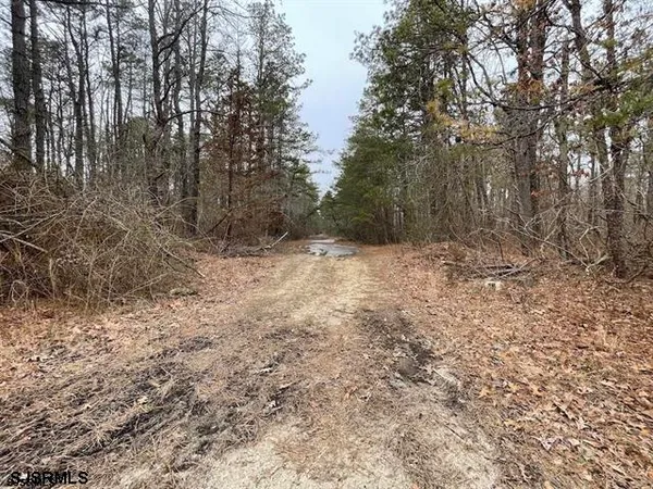 a view of snow on the side of a road