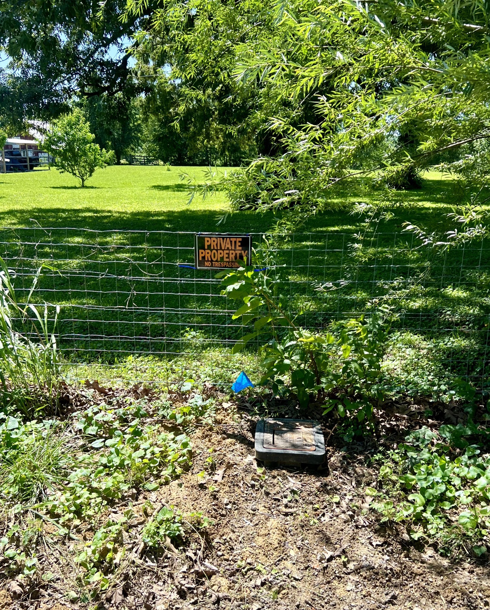 5760 McPherson Road Springfield, TN 37172 - Photo 11 of 25