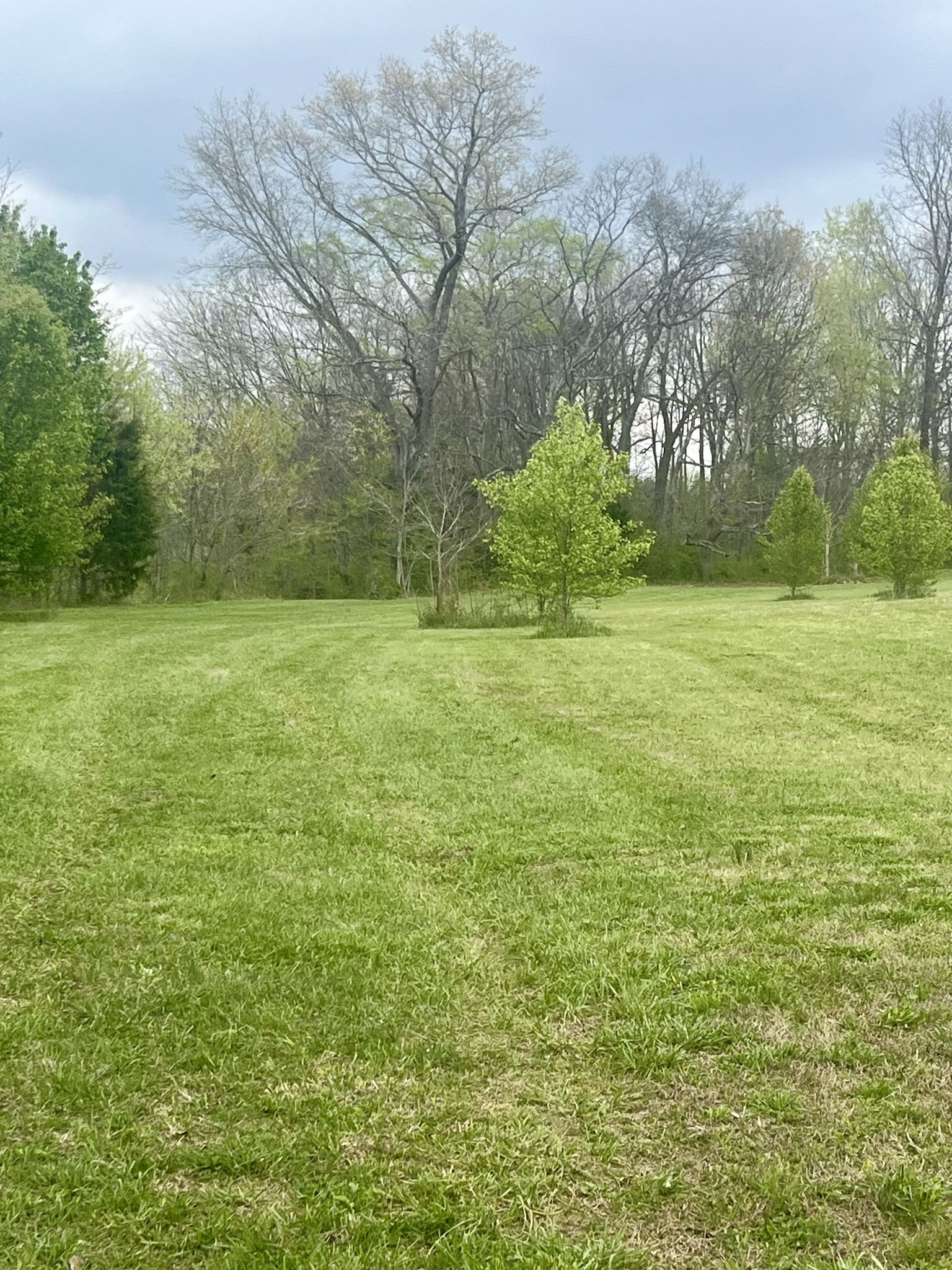 5760 McPherson Road Springfield, TN 37172 - Photo 17 of 25