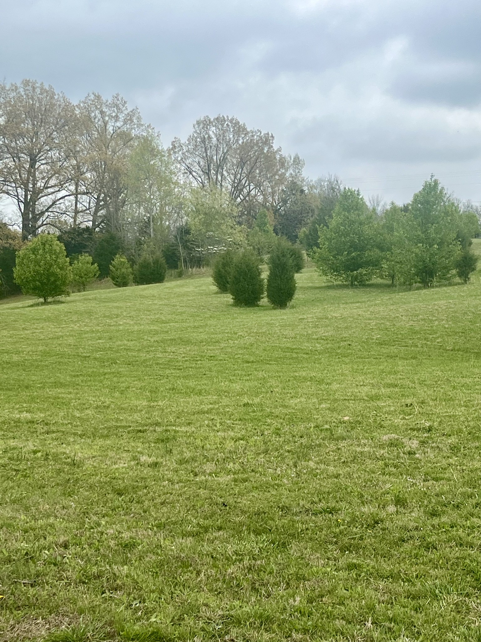 5760 McPherson Road Springfield, TN 37172 - Photo 18 of 25
