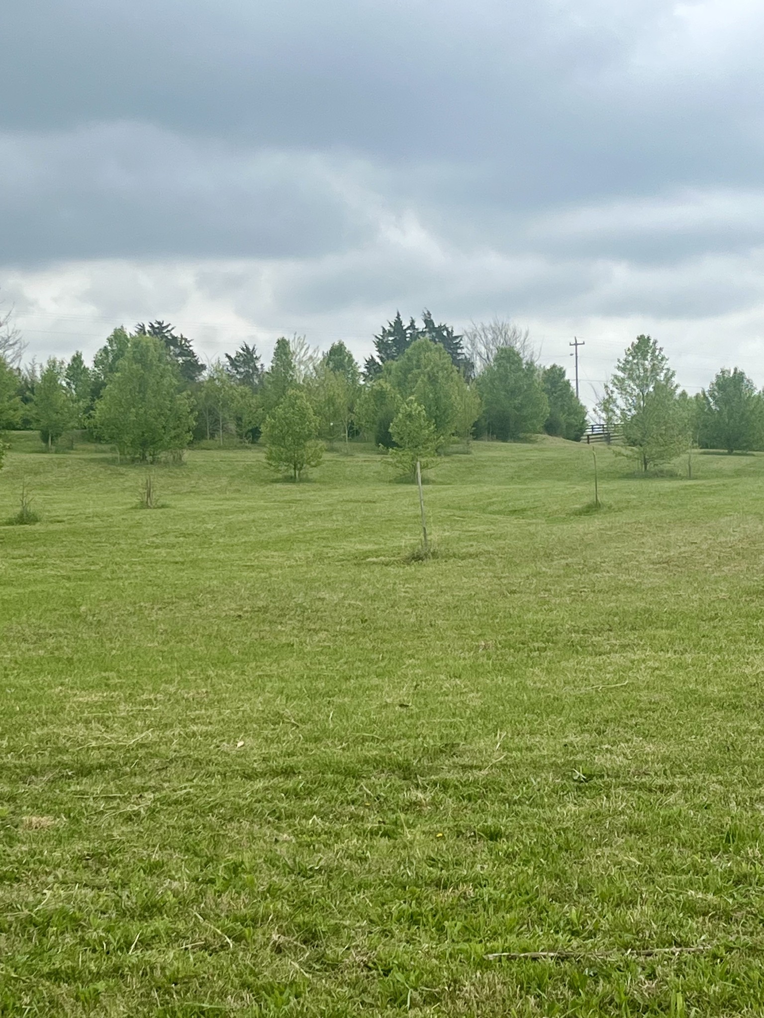 5760 McPherson Road Springfield, TN 37172 - Photo 19 of 25