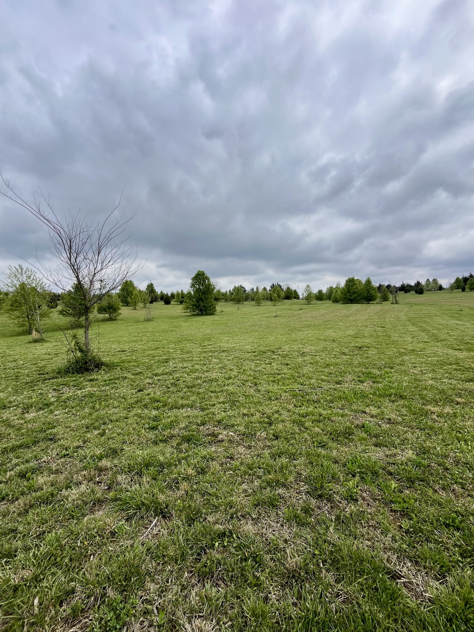 5760 McPherson Road Springfield, TN 37172 - Photo 22 of 25