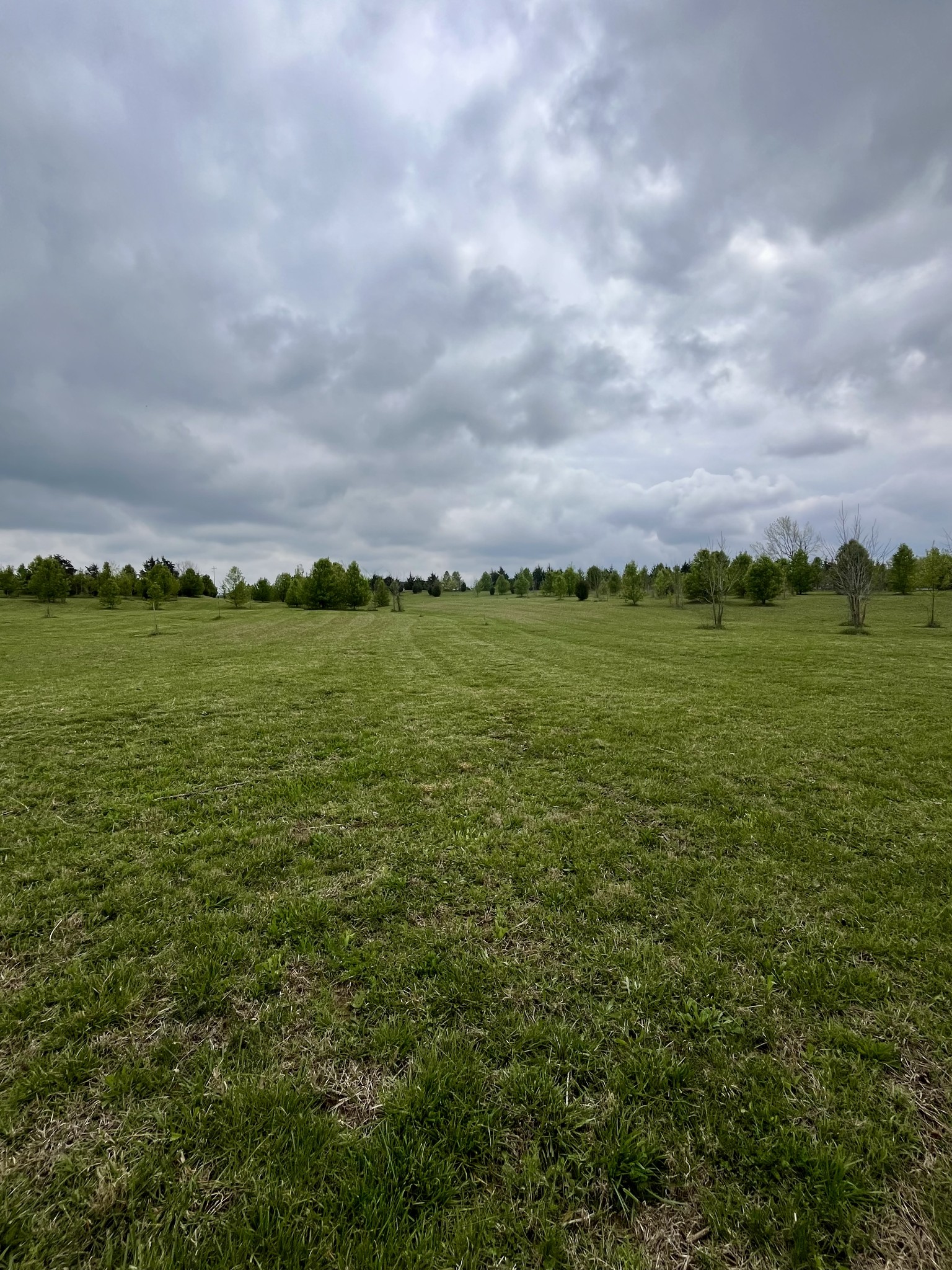 5760 McPherson Road Springfield, TN 37172 - Photo 23 of 25